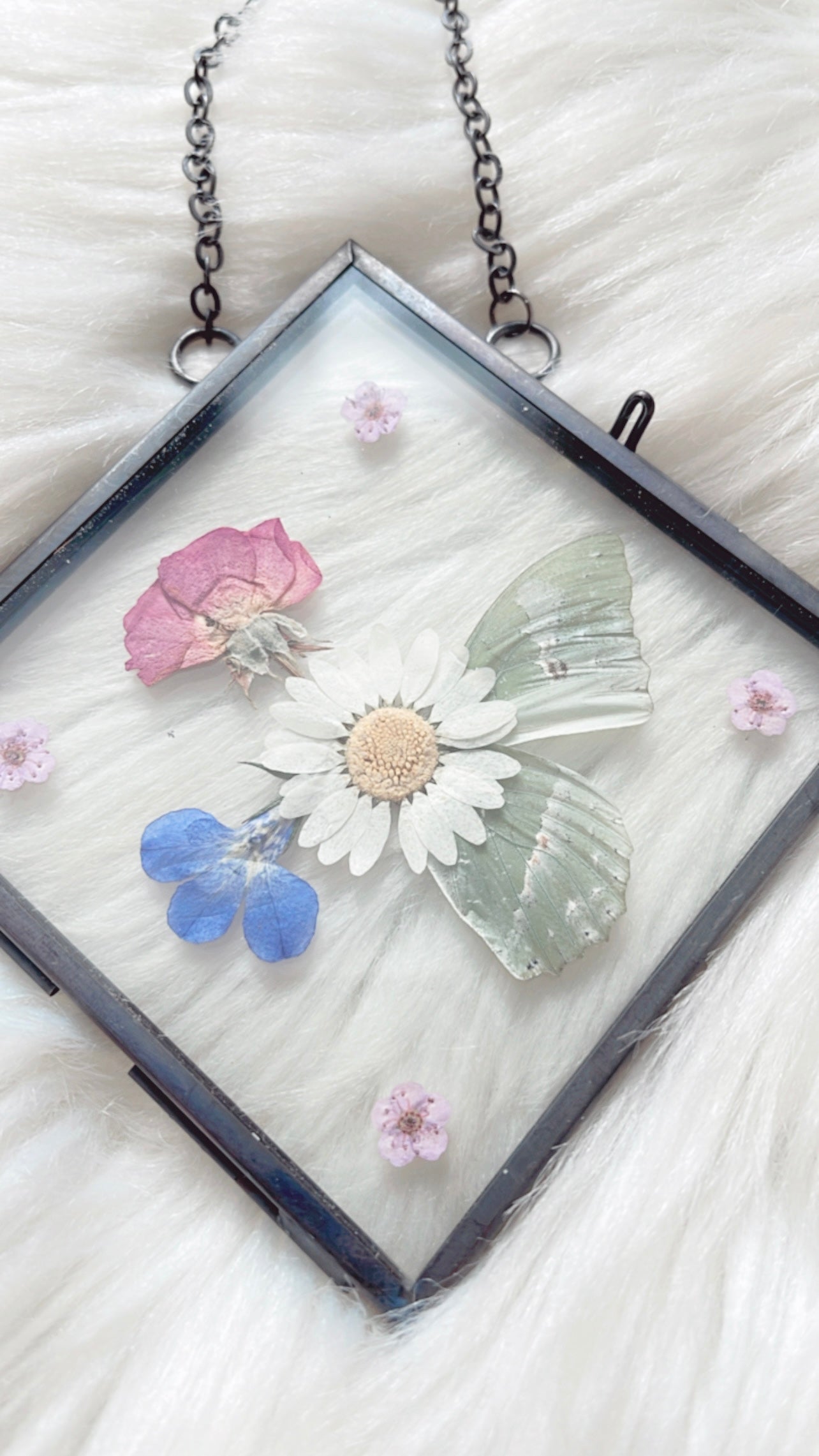 Rory Butterfly Floral Frame