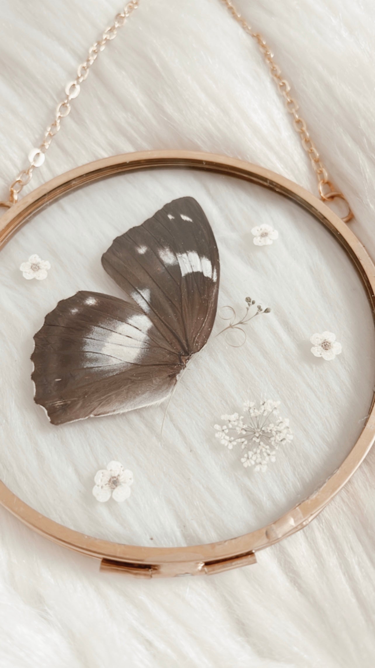 Rosalie Butterfly Floral Frame