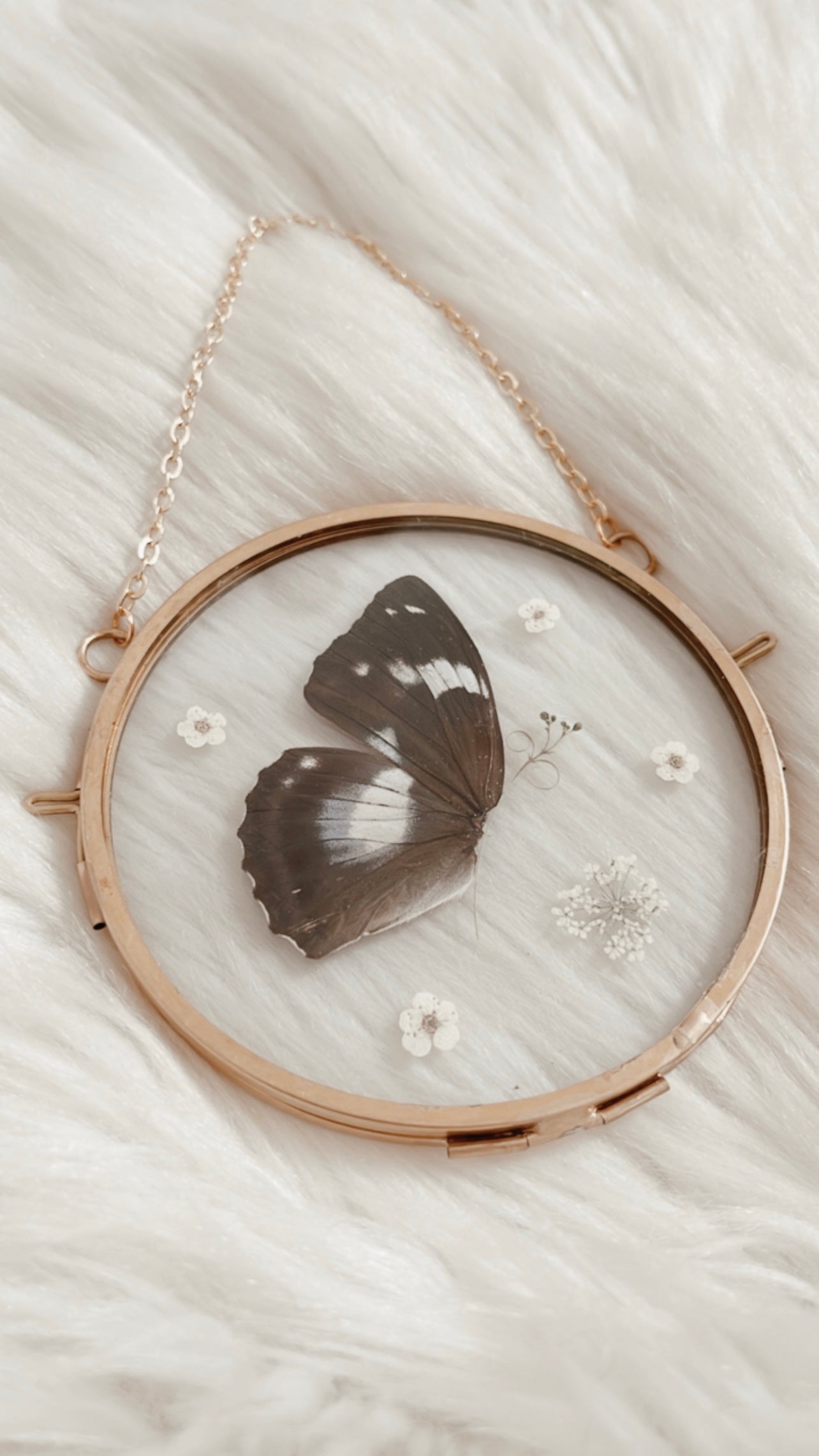 Rosalie Butterfly Floral Frame