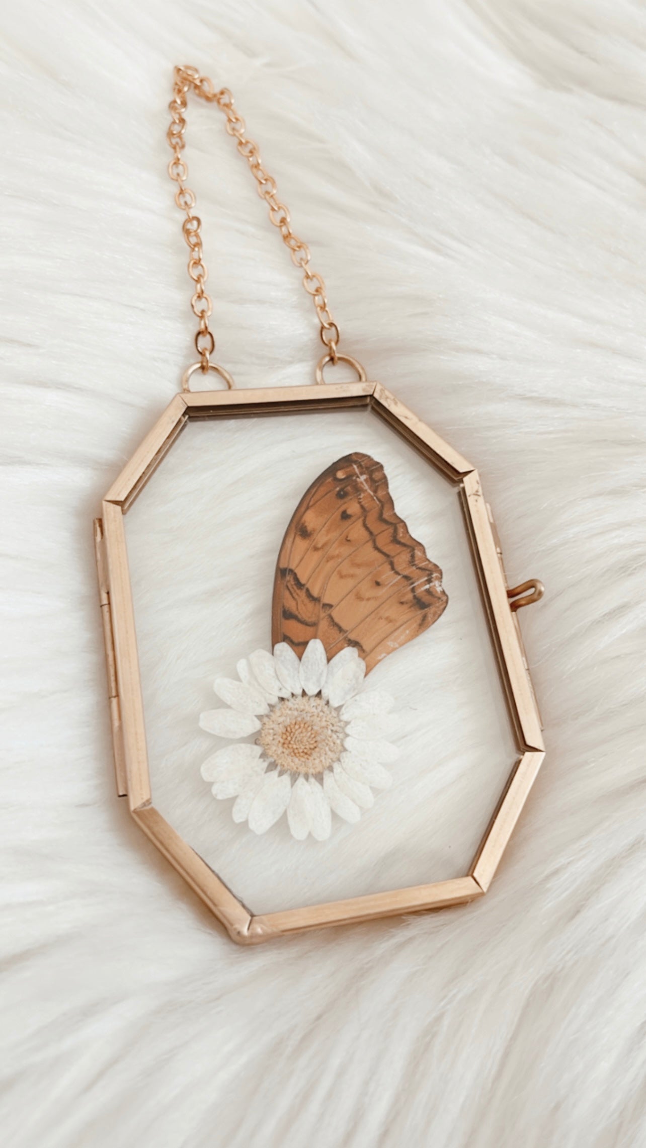 Rosalie Butterfly Floral Frame