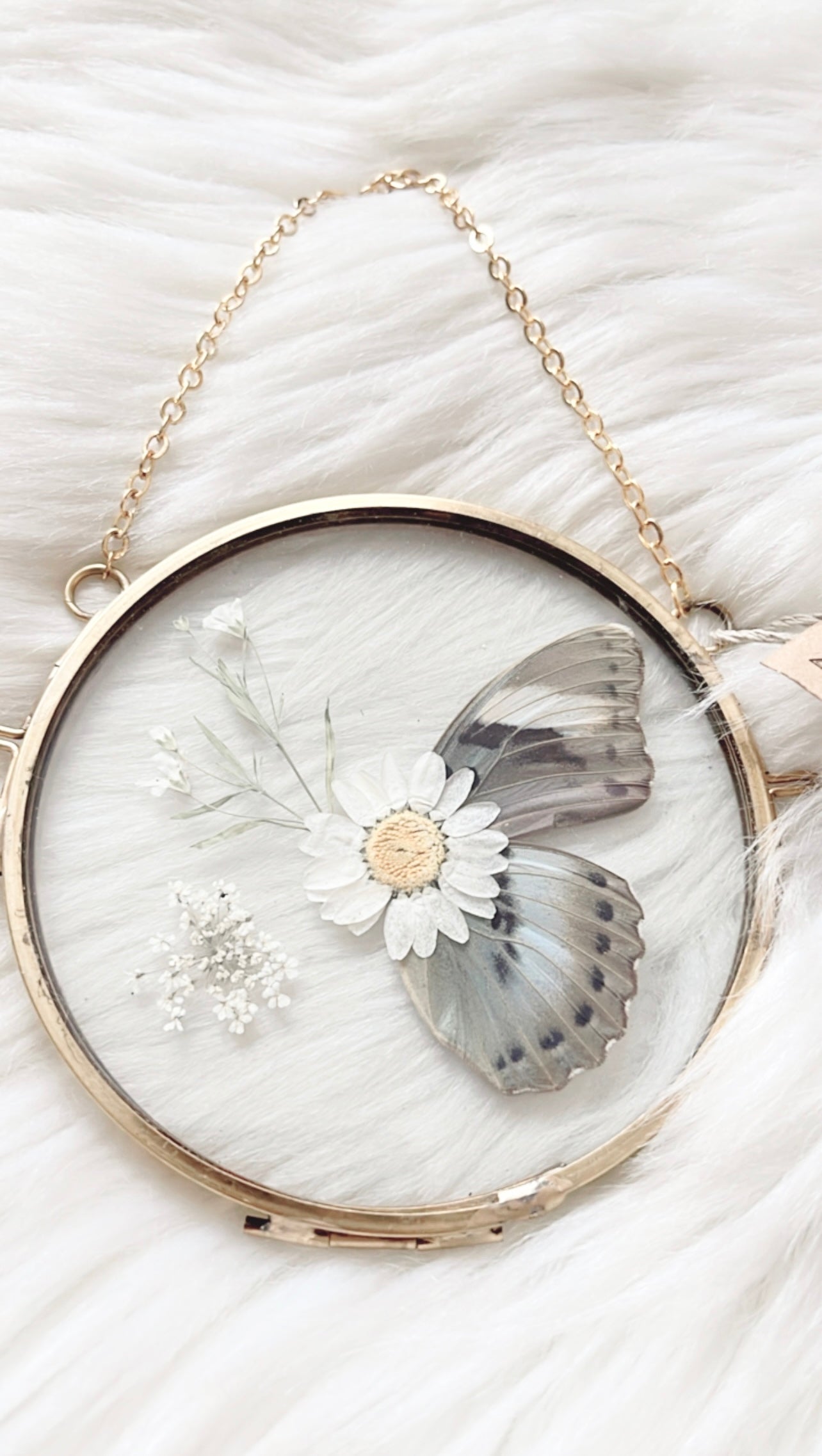 Rosie Butterfly Floral Frame <4in>