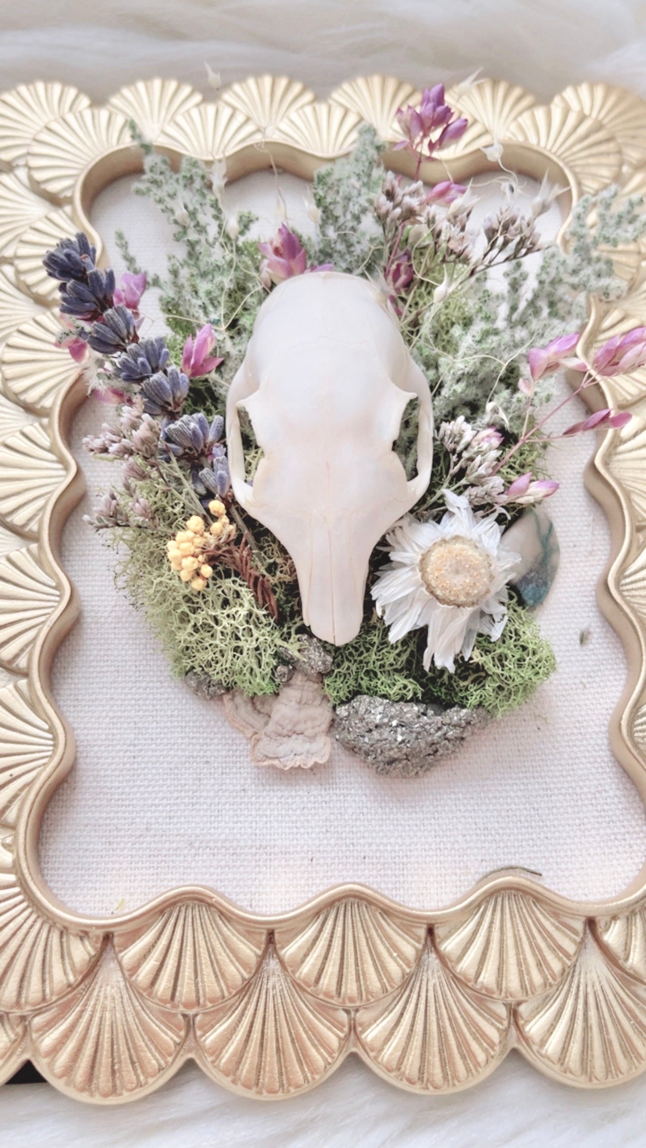 Rosie Oddities Frame <Squirrel Skull>