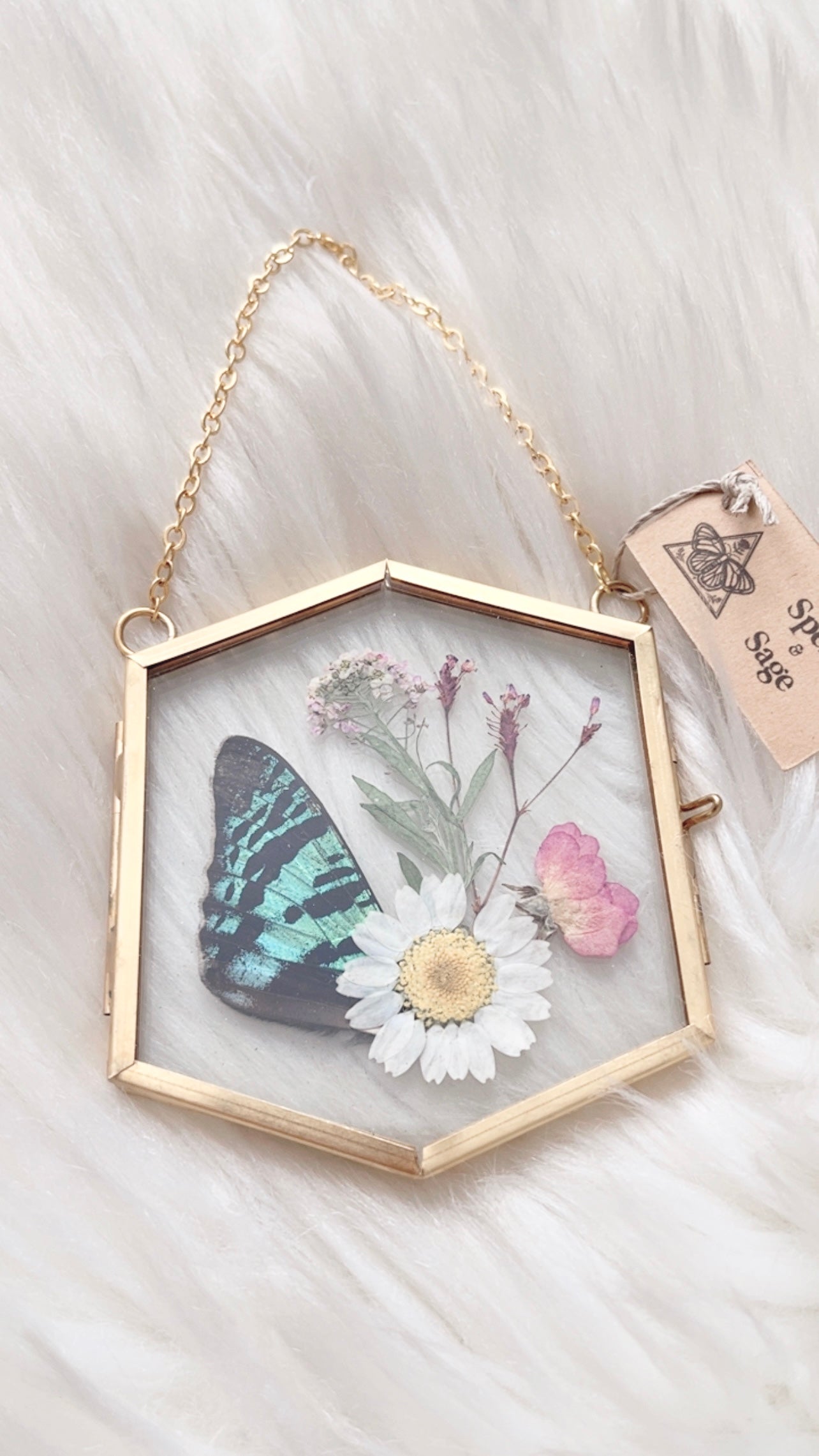 Sally Moth Floral Frame <3.25x3.75in>