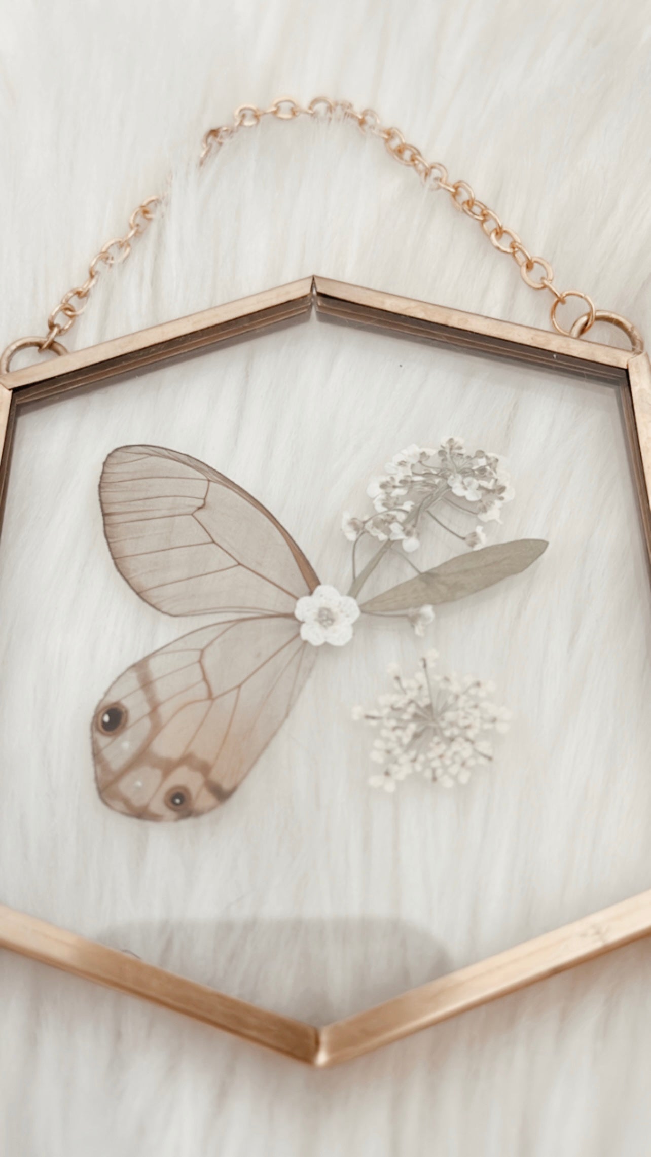 Sasha Butterfly Floral Frame