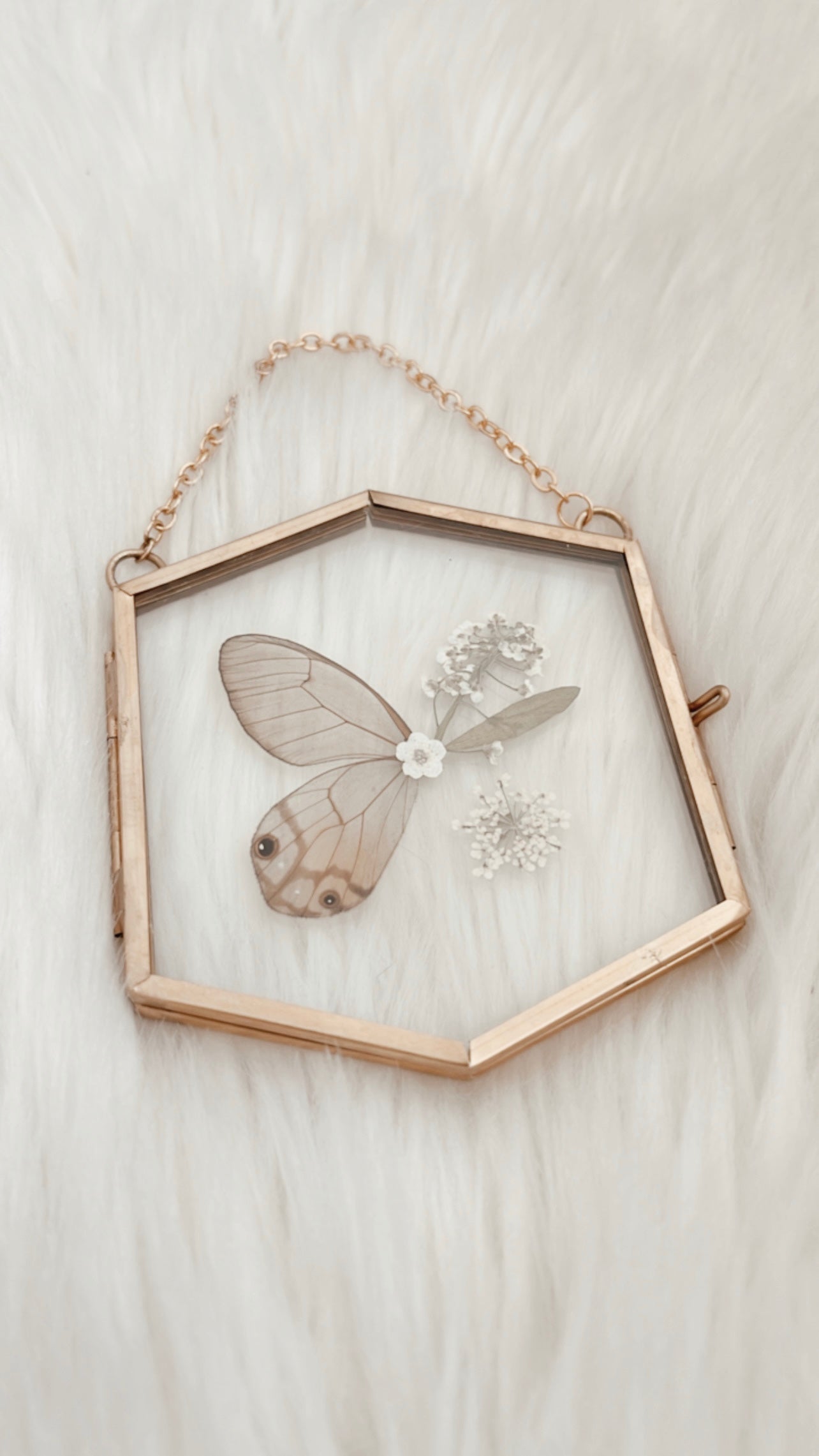 Sasha Butterfly Floral Frame