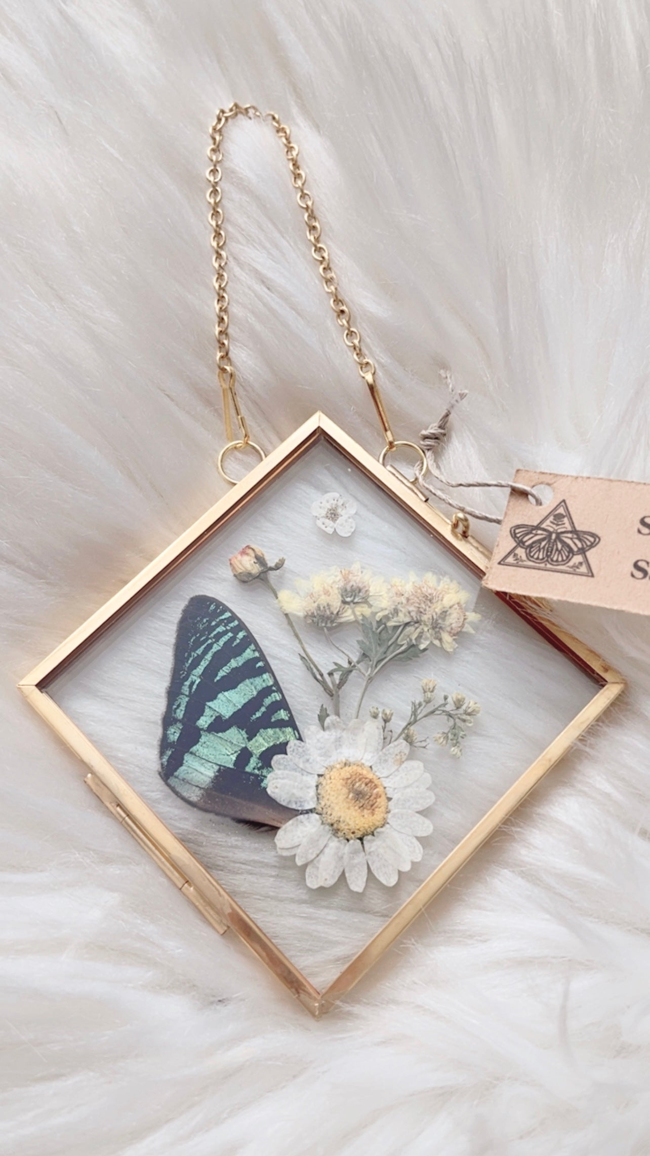 Sasha Moth Floral Frame <4x4in>