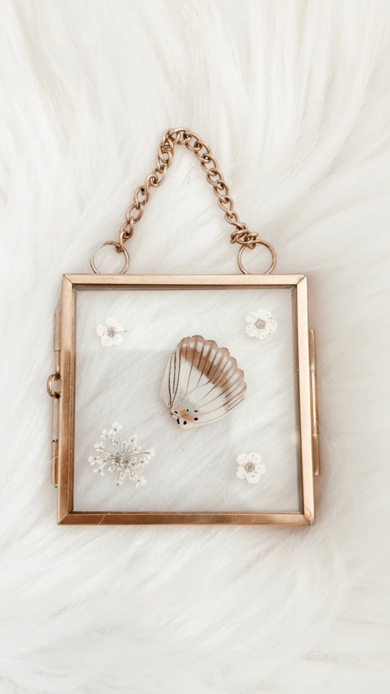 Sienna Butterfly Floral Frame
