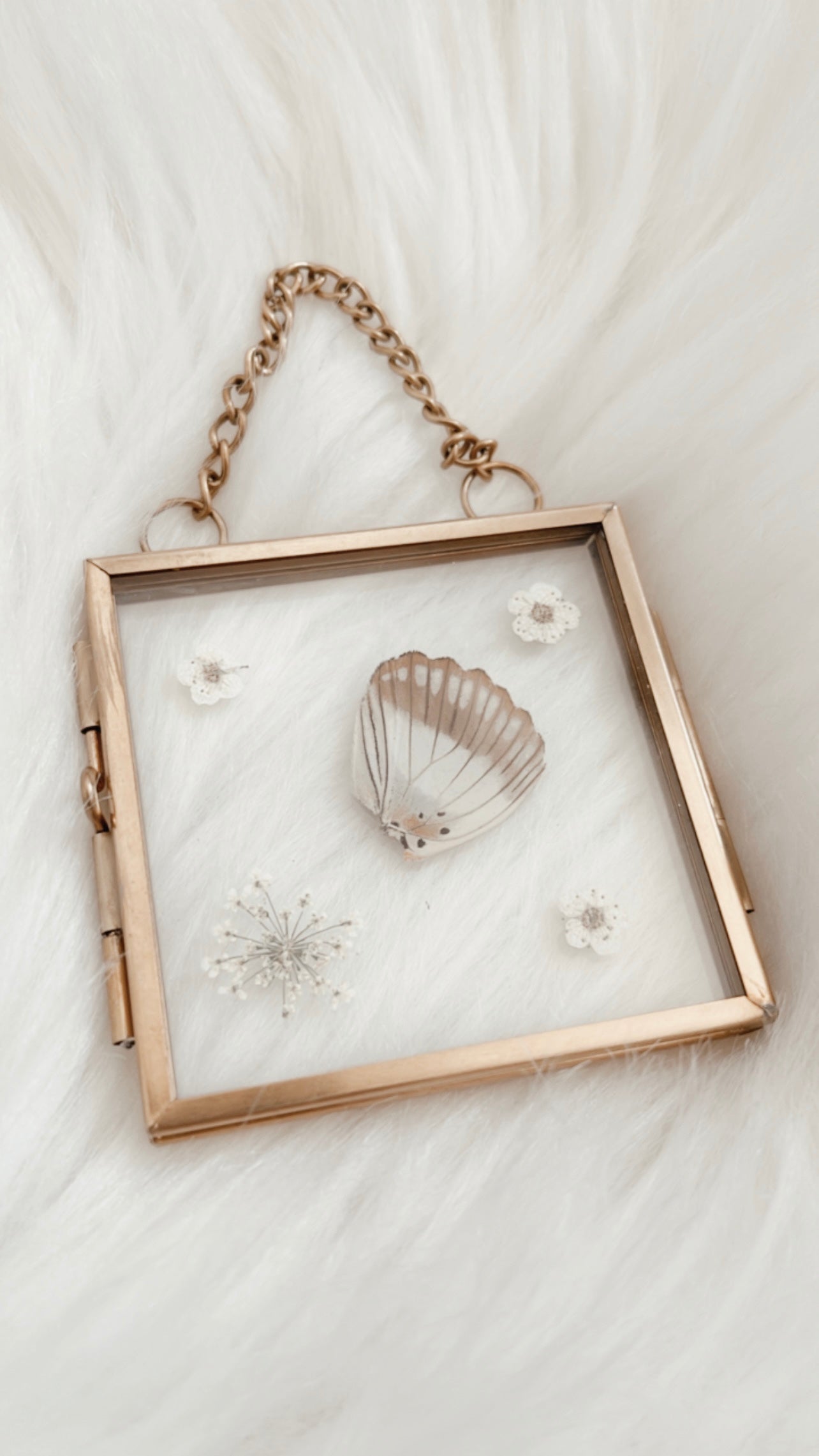 Sienna Butterfly Floral Frame