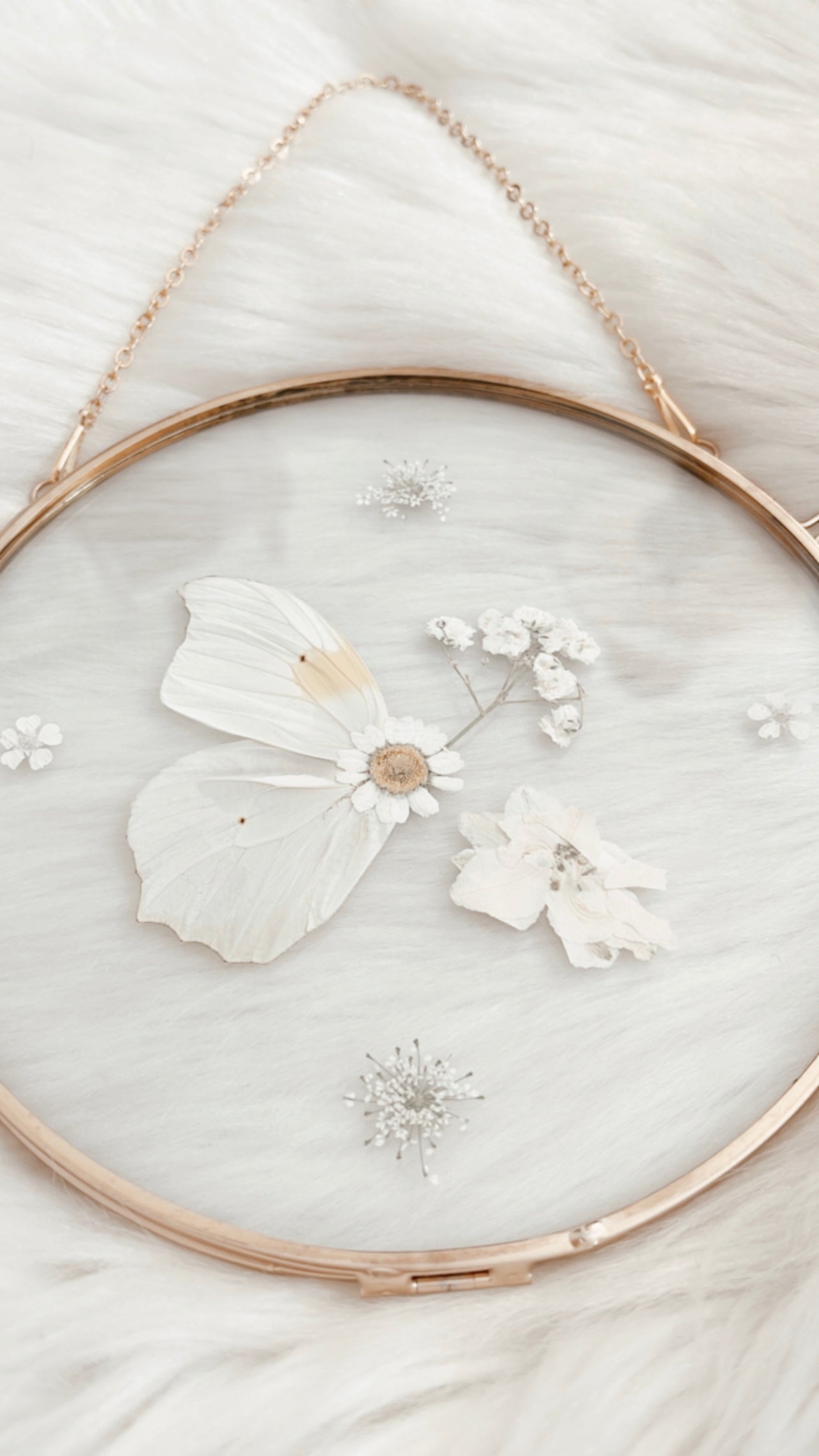 Sienna Butterfly Floral Frame