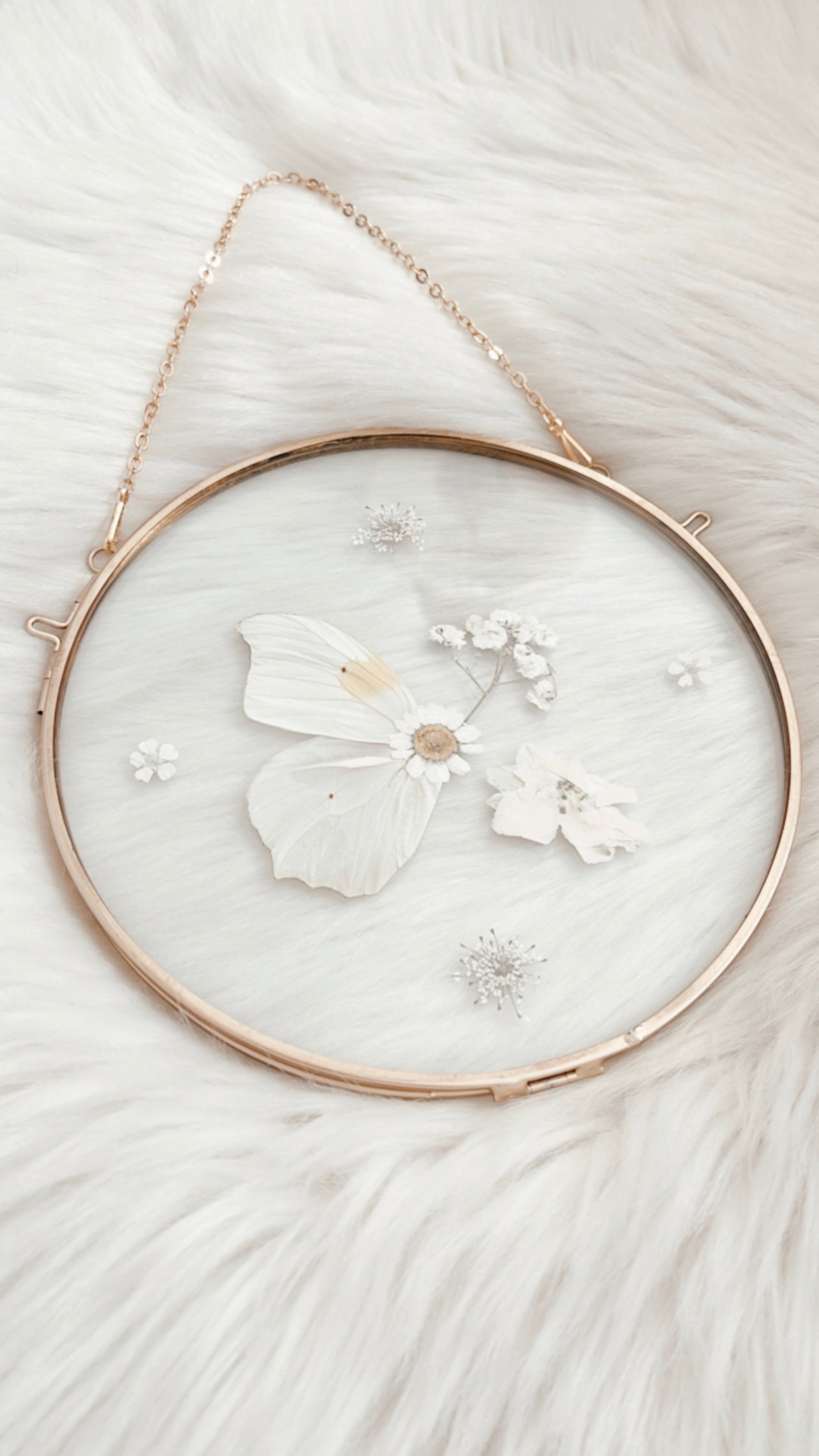Sienna Butterfly Floral Frame