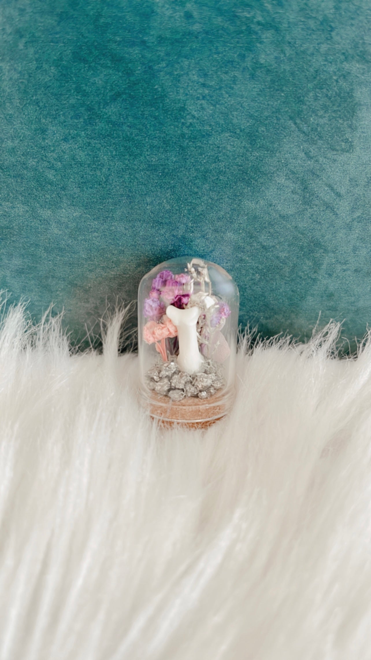 Sophia Mini Terrarium