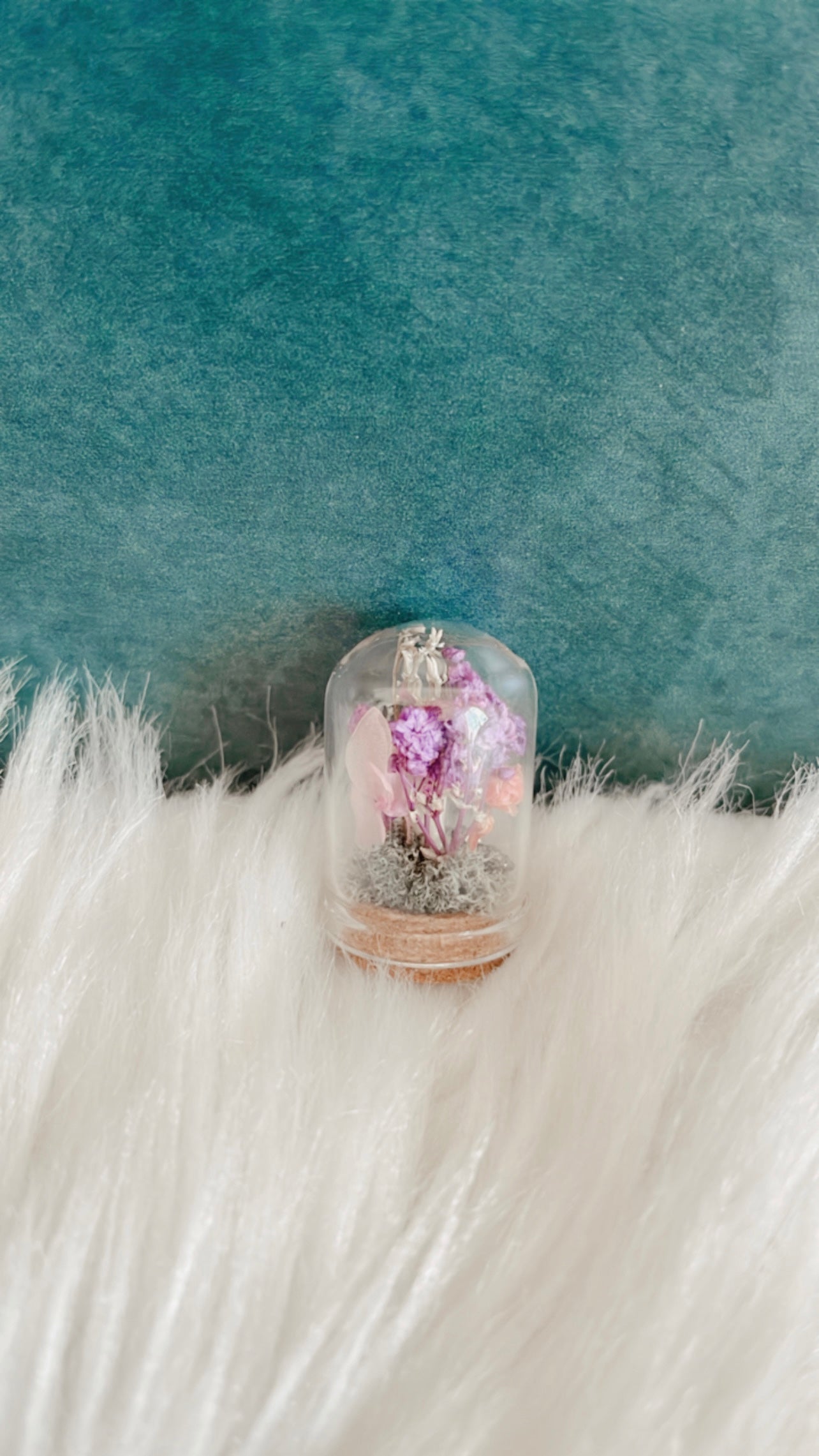 Sophia Mini Terrarium