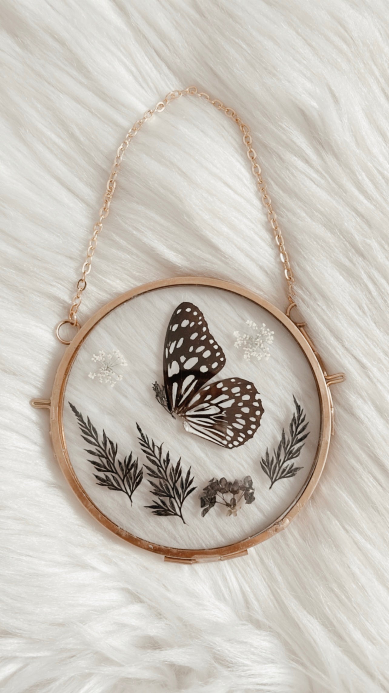 Stella Butterfly Floral Frame