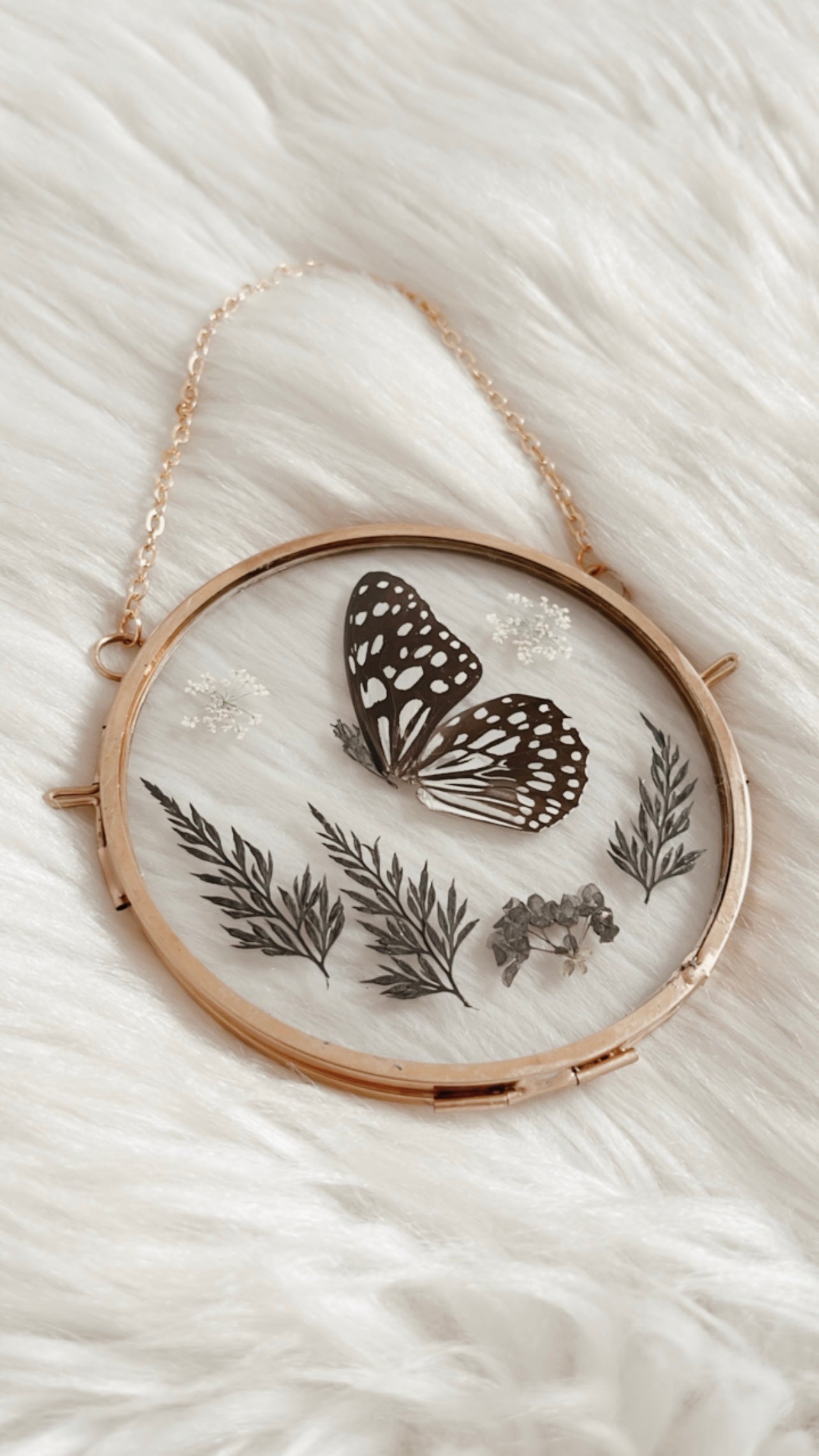 Stella Butterfly Floral Frame
