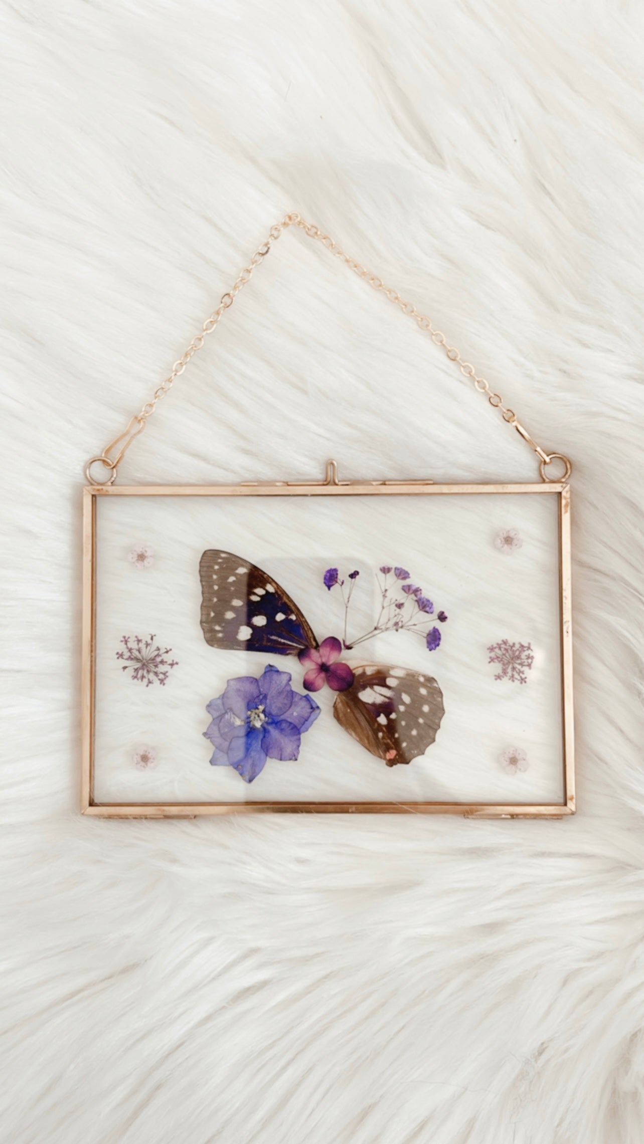 Stella Butterfly Floral Frame