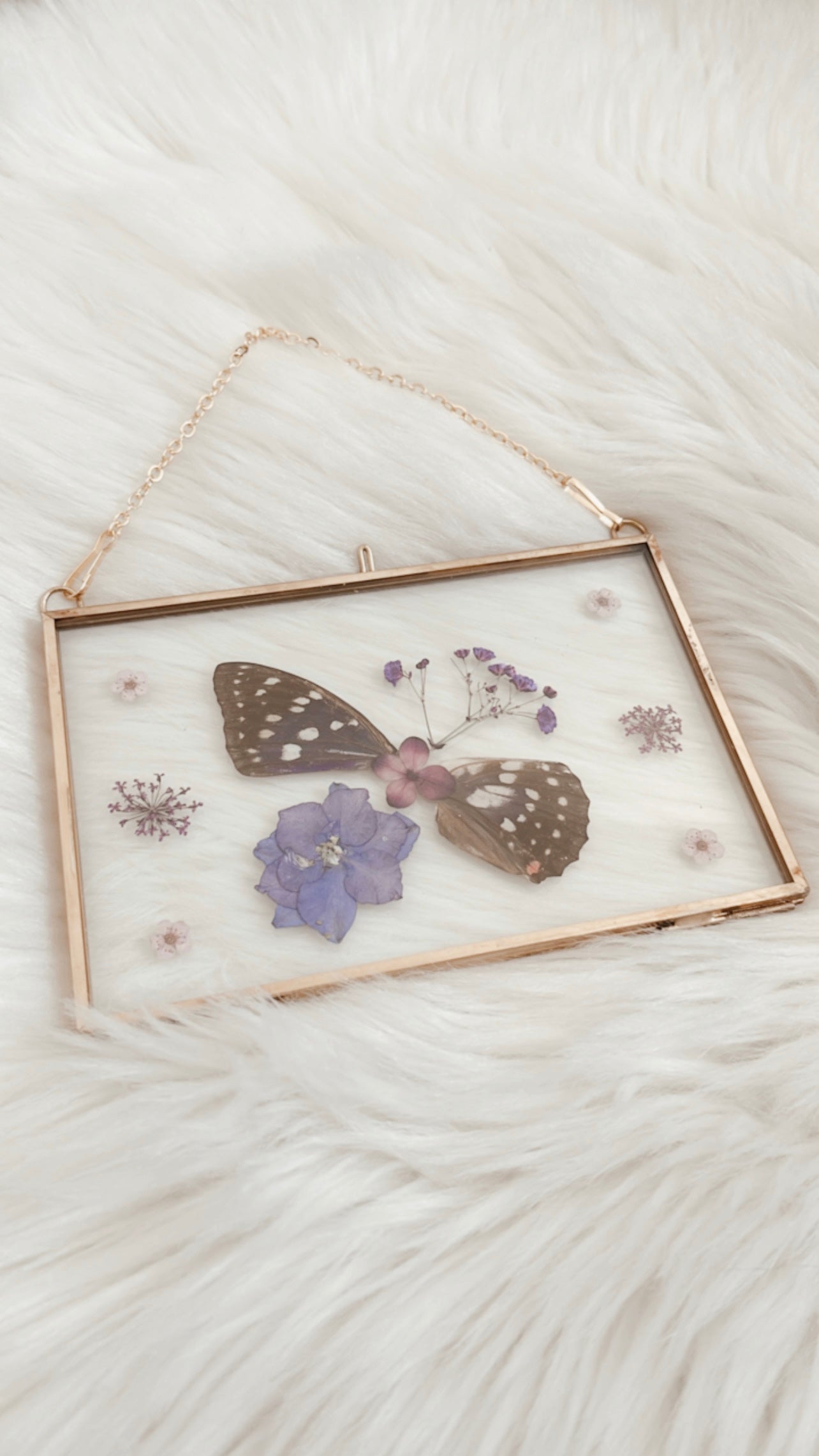 Stella Butterfly Floral Frame