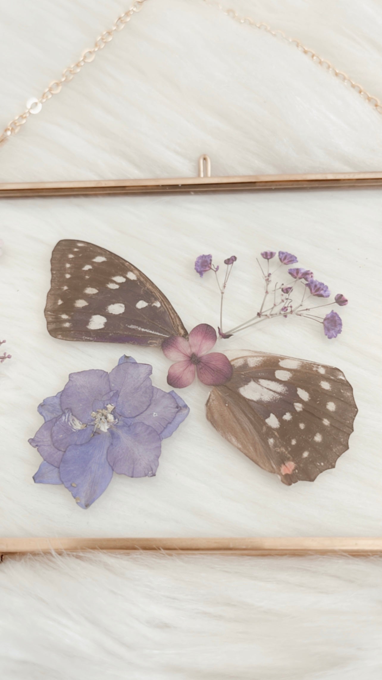 Stella Butterfly Floral Frame