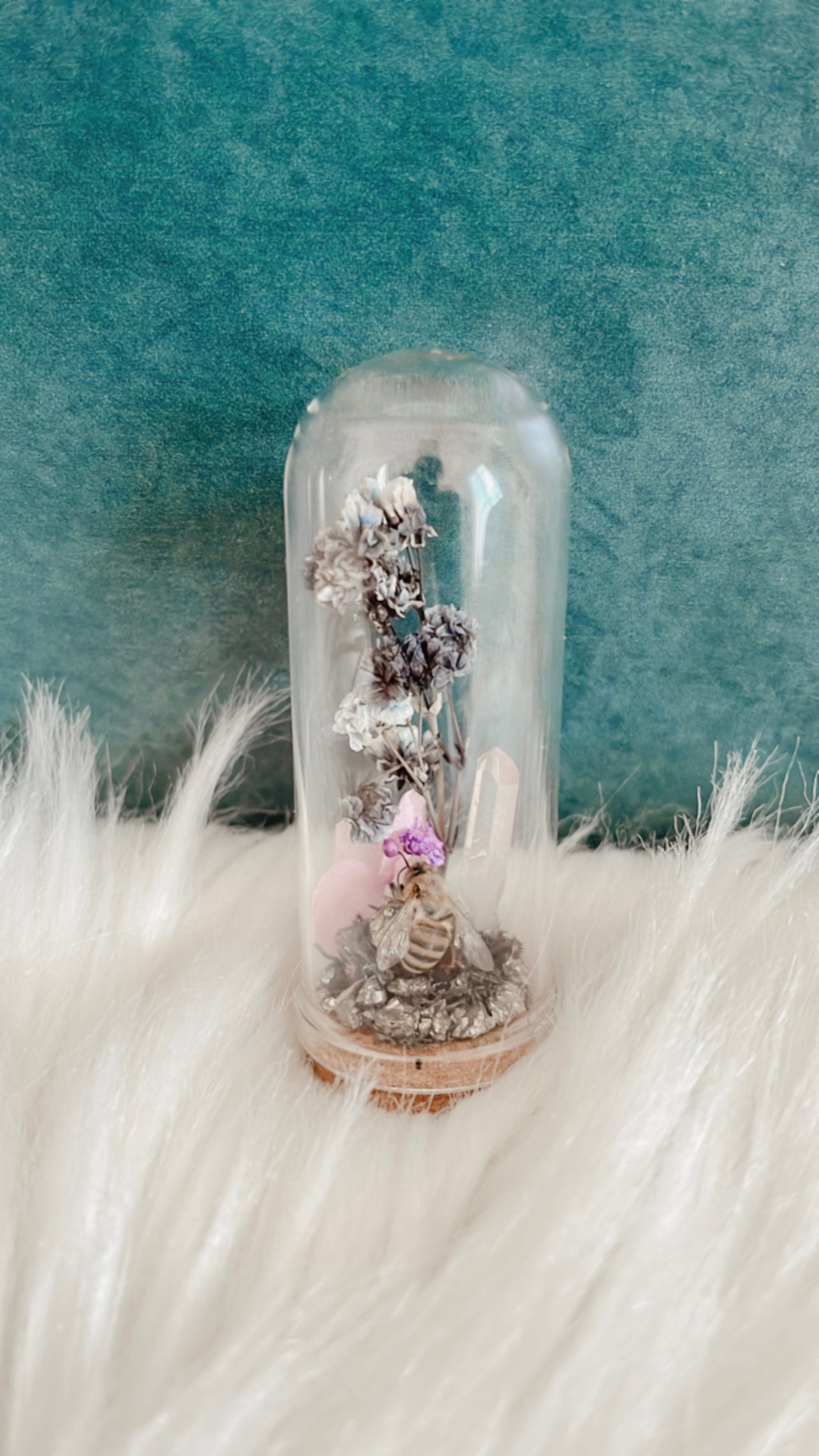 Stella Terrarium