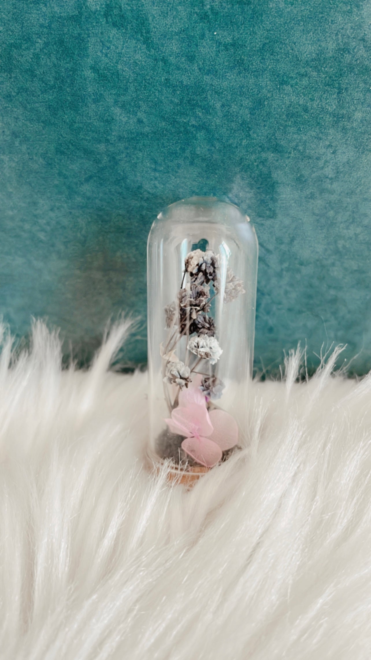 Stella Terrarium