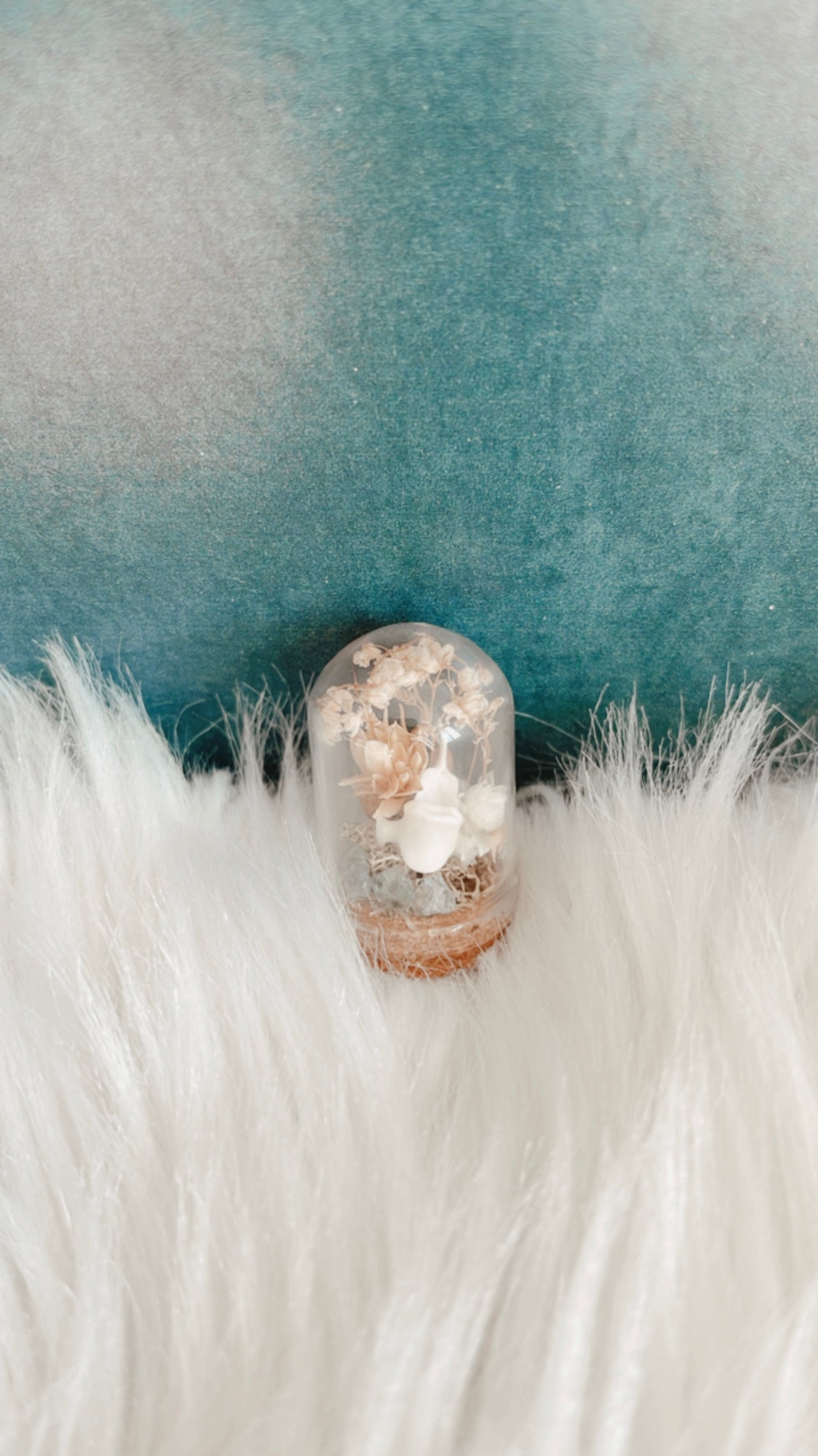 Stevie Mini Terrarium