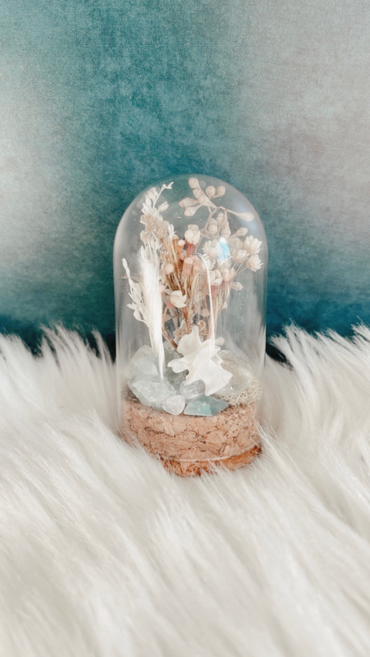 Sydney Terrarium