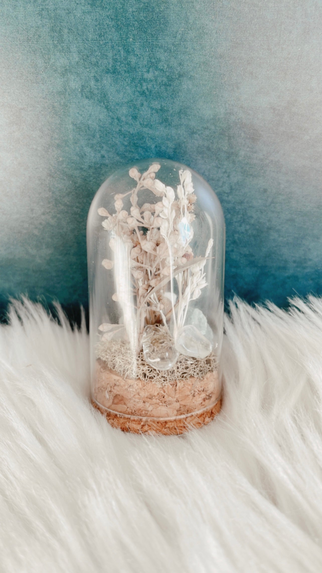 Sydney Terrarium