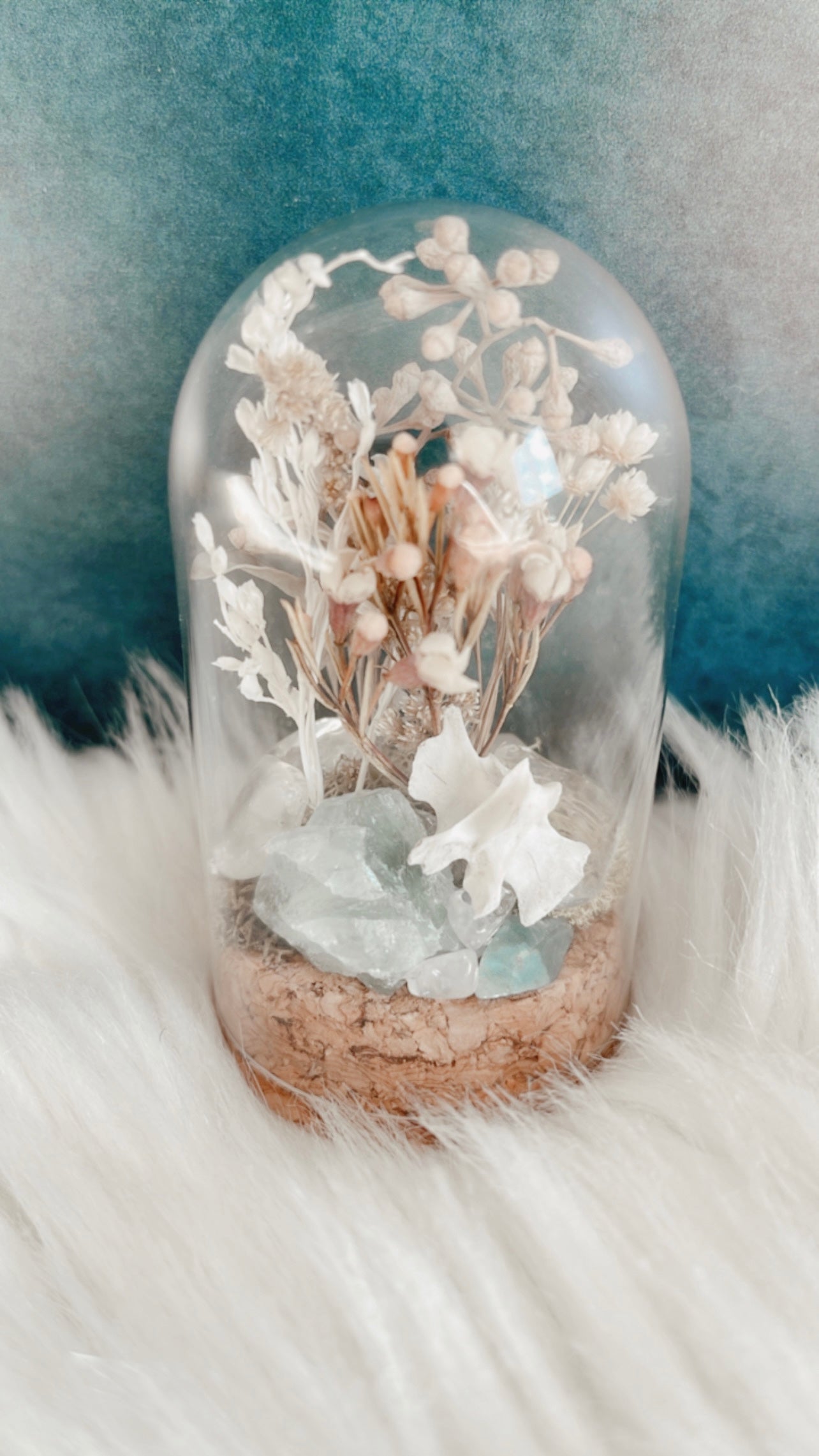 Sydney Terrarium