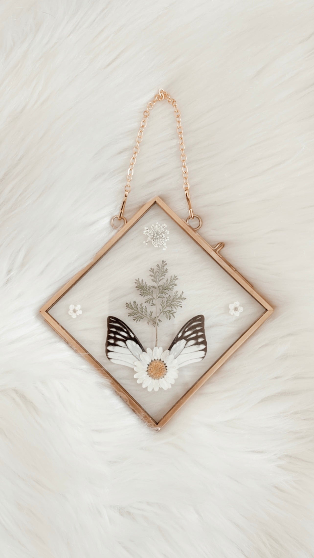 Sylvie Butterfly Floral Frame