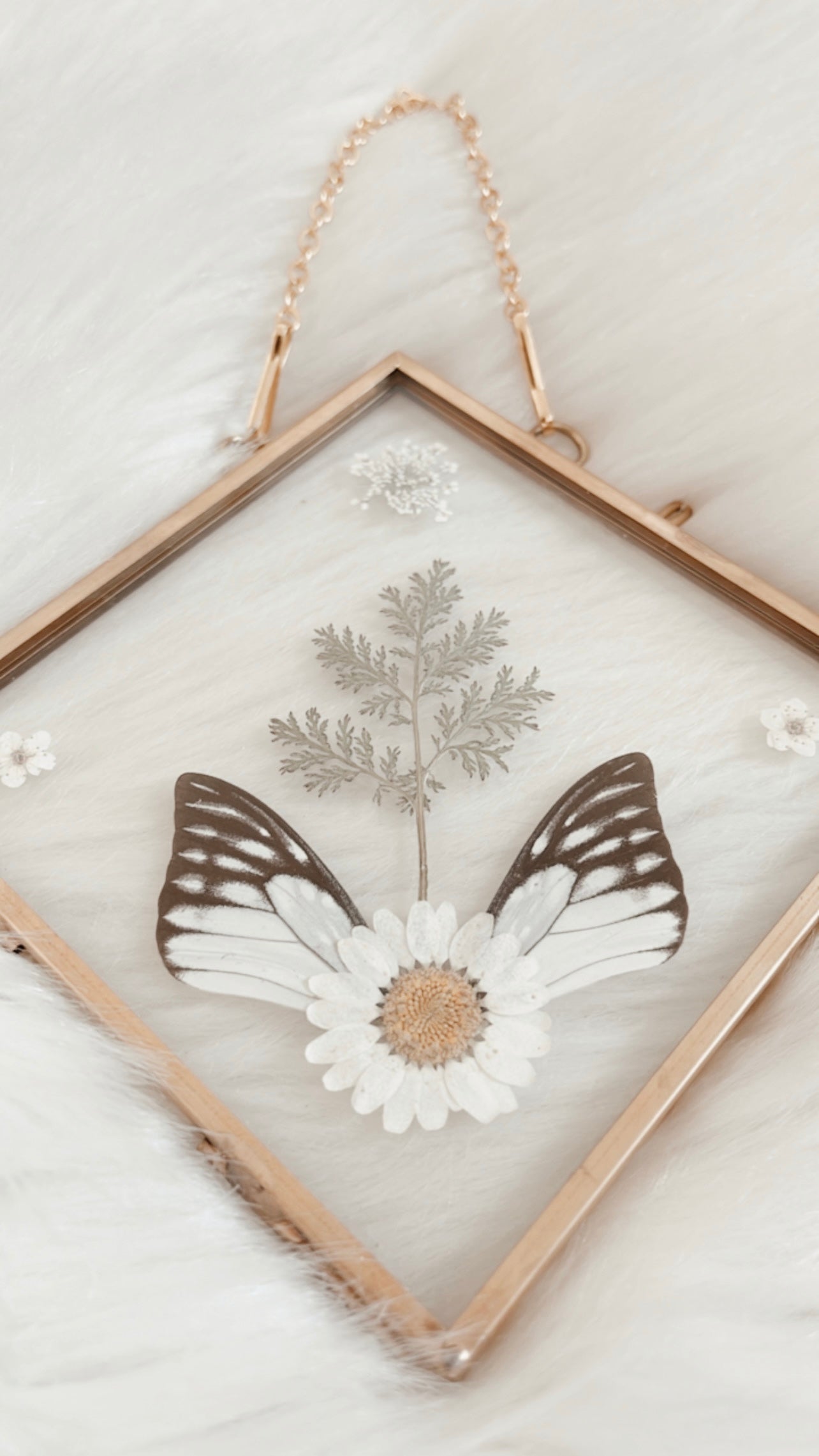 Sylvie Butterfly Floral Frame