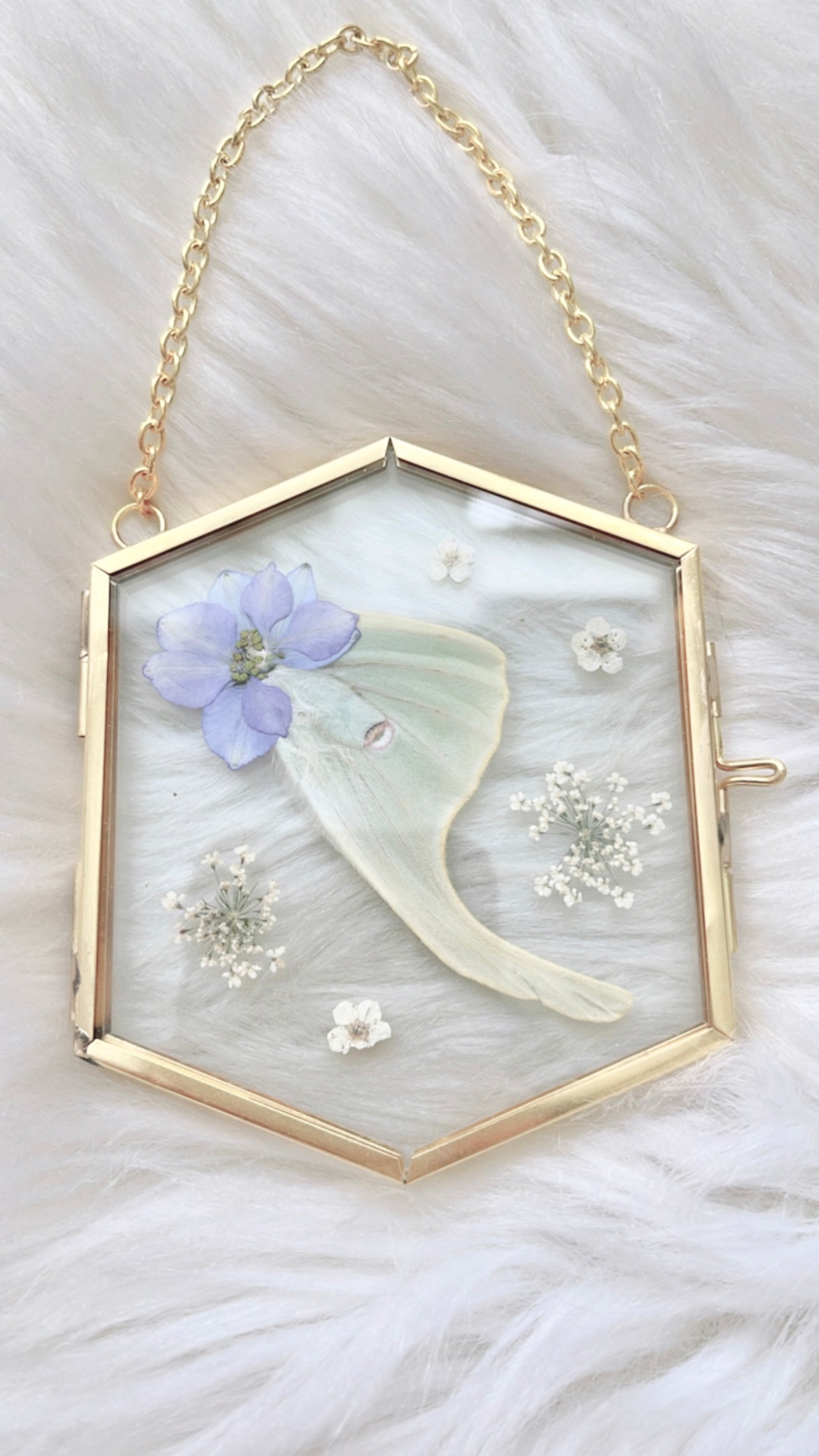 Sylvie Moth Floral Frame <3.25x3.75in>