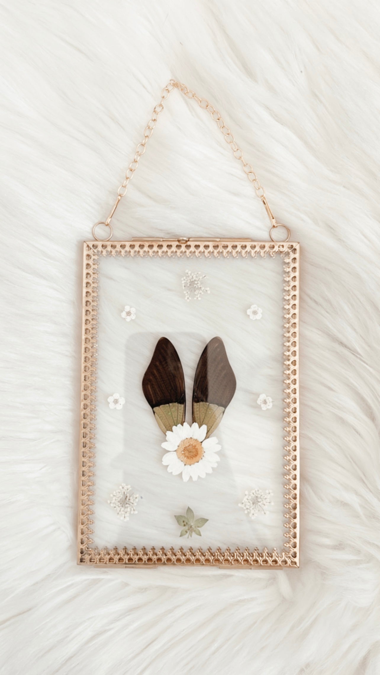 Tansy Cicada Floral Frame