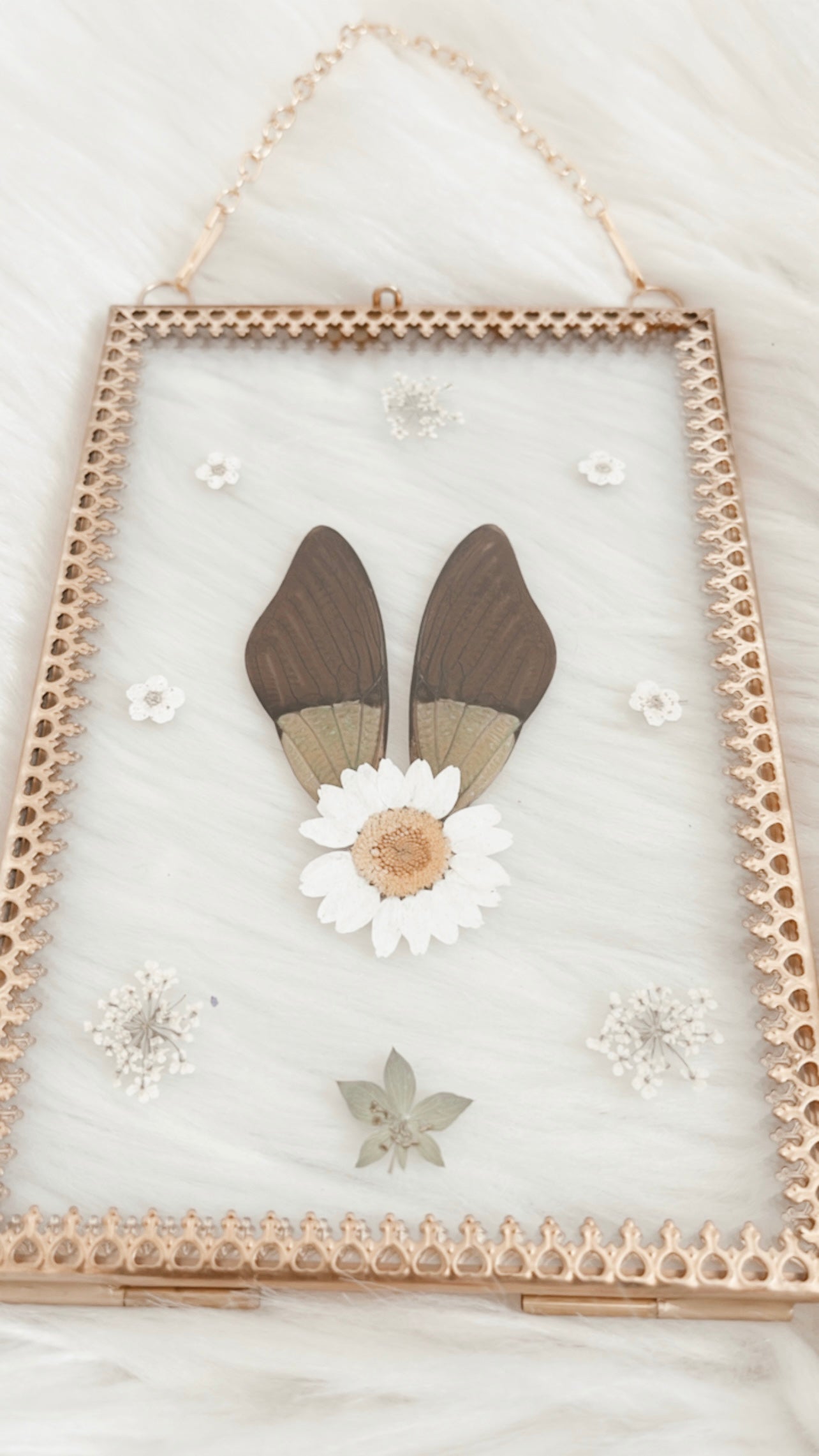 Tansy Cicada Floral Frame
