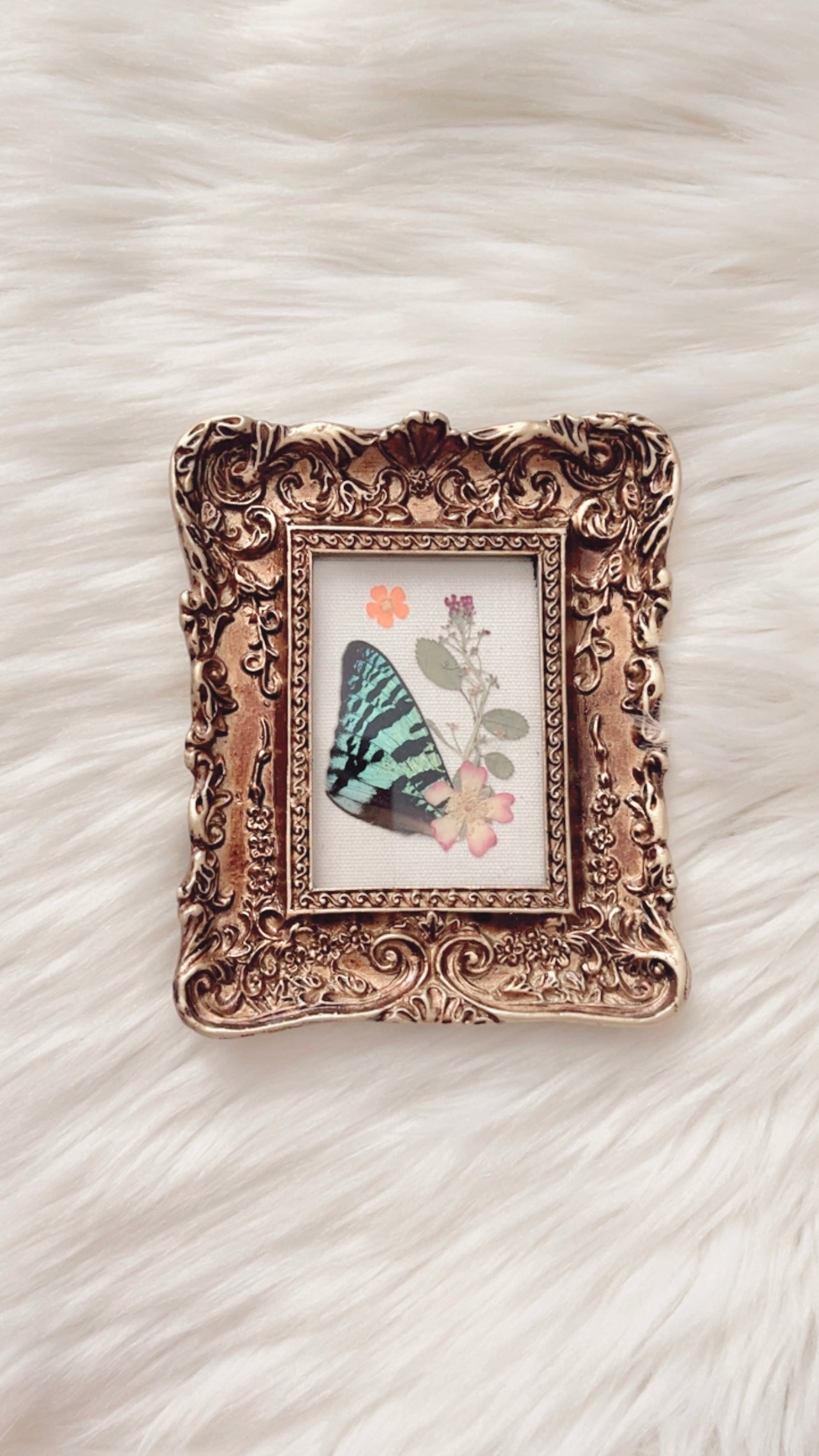 Tatum Moth Ornate Frame <4.5x5.5in>