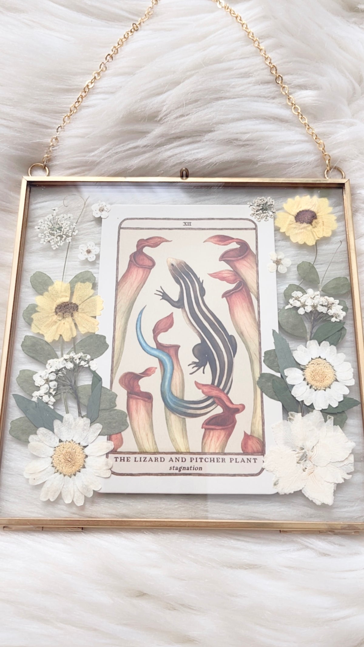 The Lizard and Pitcher Plant Oracle Floral Frame