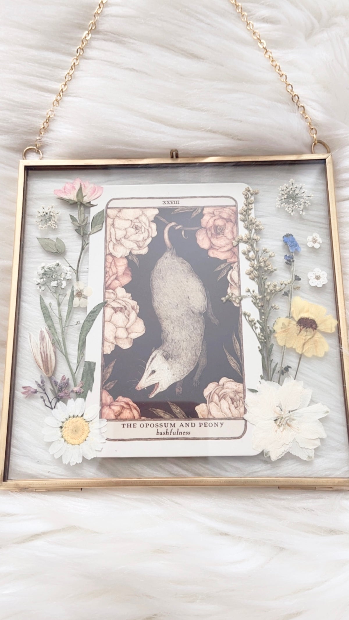The Opossum and Peony Oracle Floral Frame