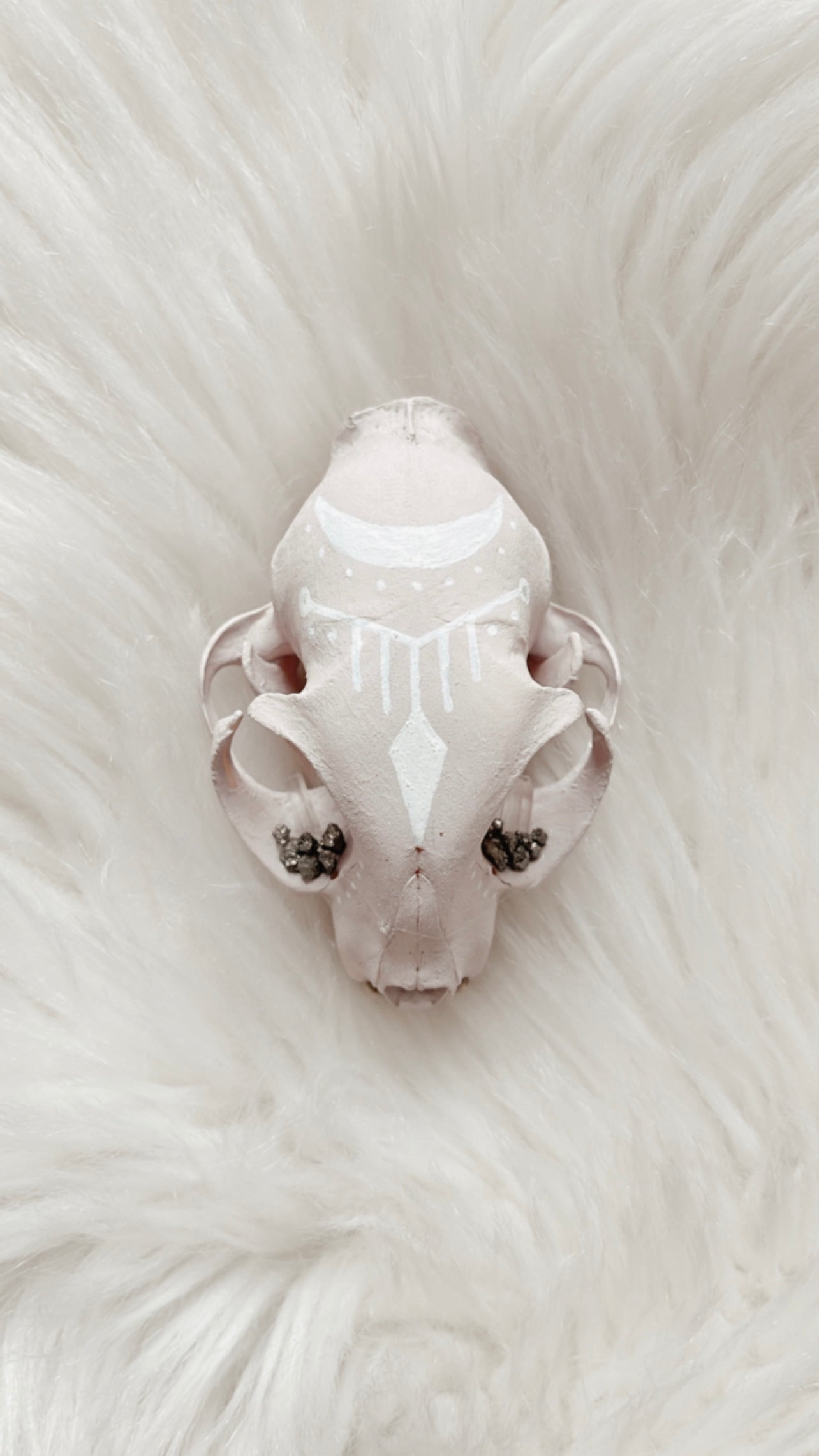 Trish Cat Skull