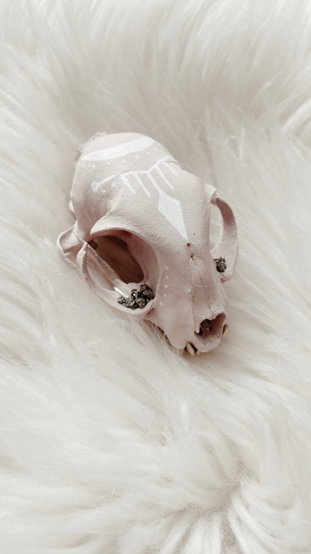 Trish Cat Skull