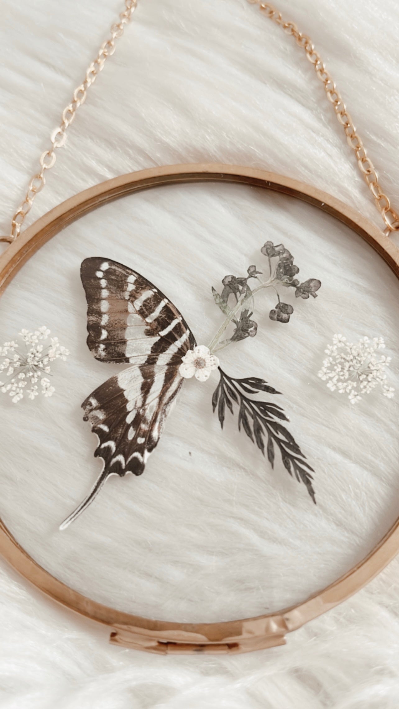 Vienna Butterfly Floral Frame