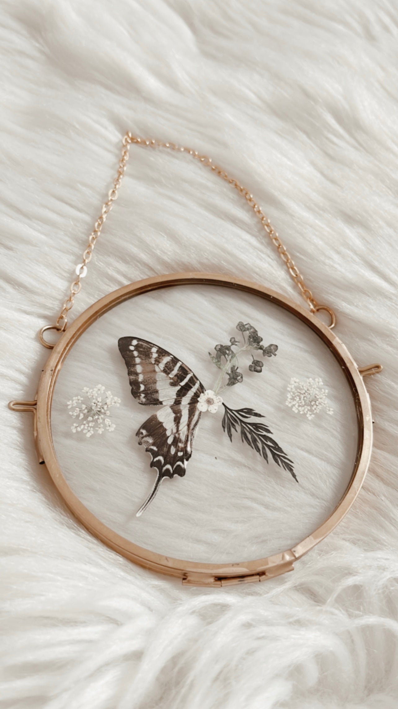 Vienna Butterfly Floral Frame