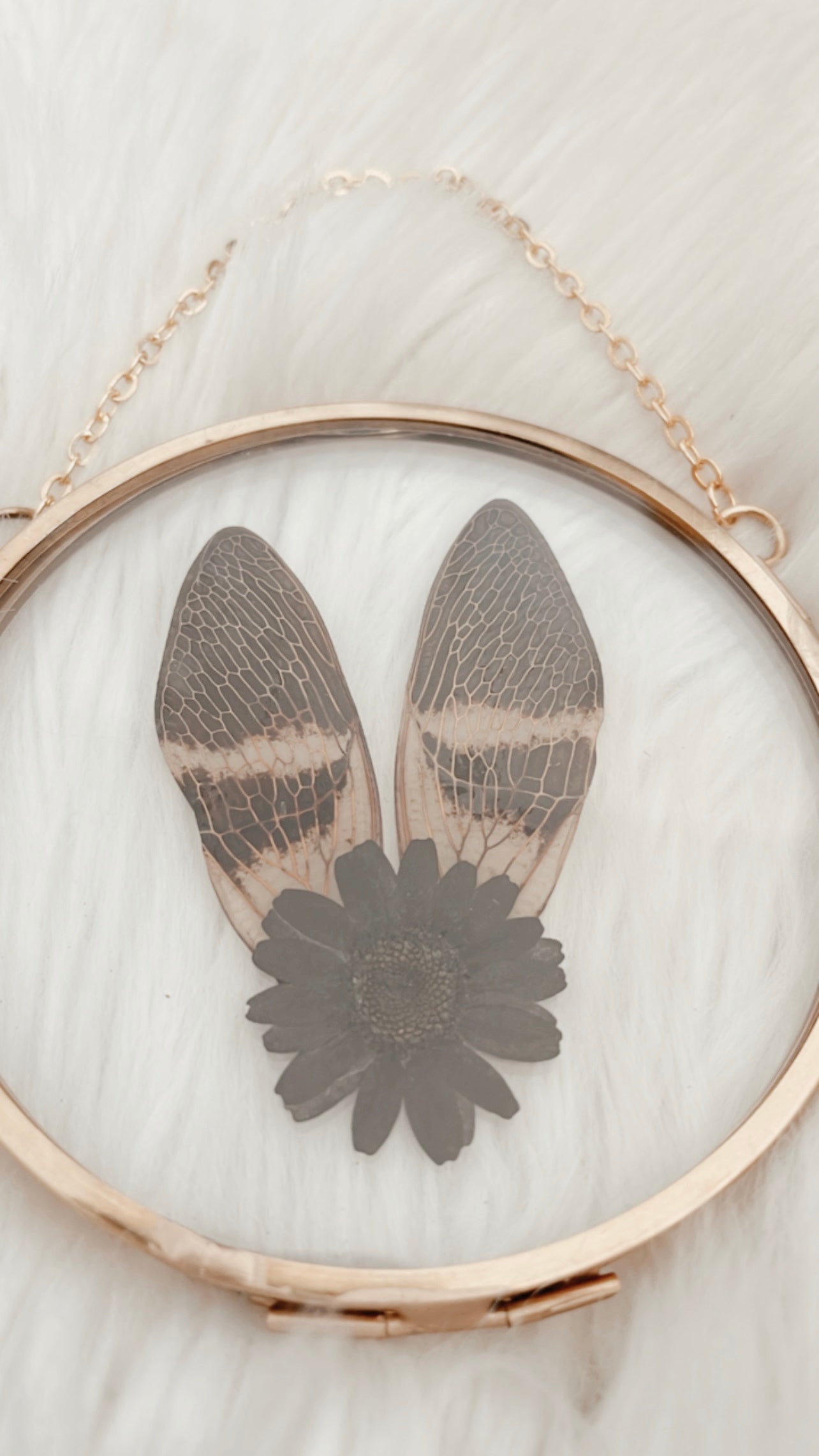 Vienna Cicada Floral Frame