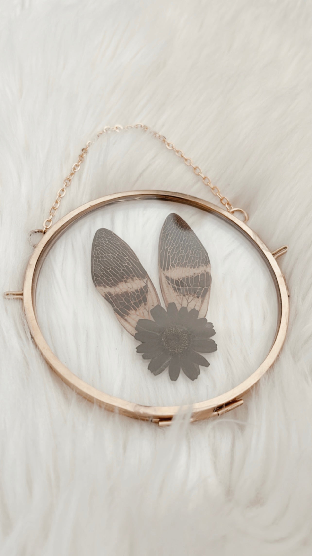 Vienna Cicada Floral Frame