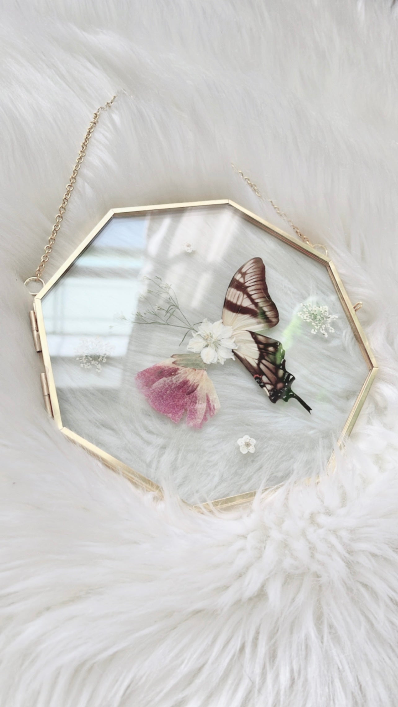 Viola Butterfly Floral Frame <6x6in>