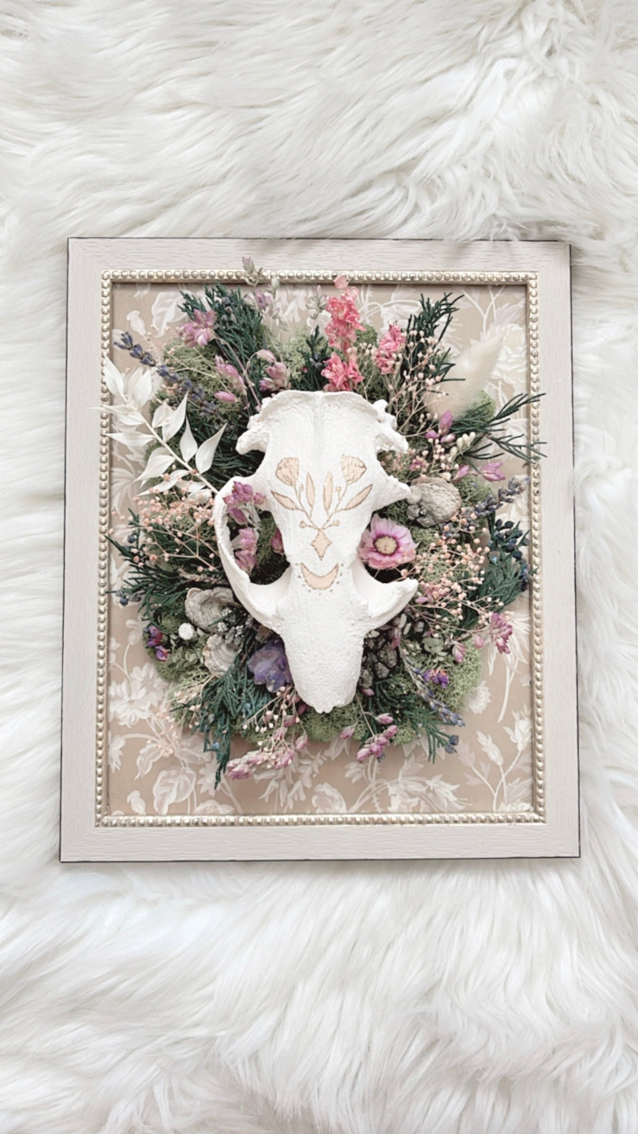Violet Oddities Frame <Beaver Skull>