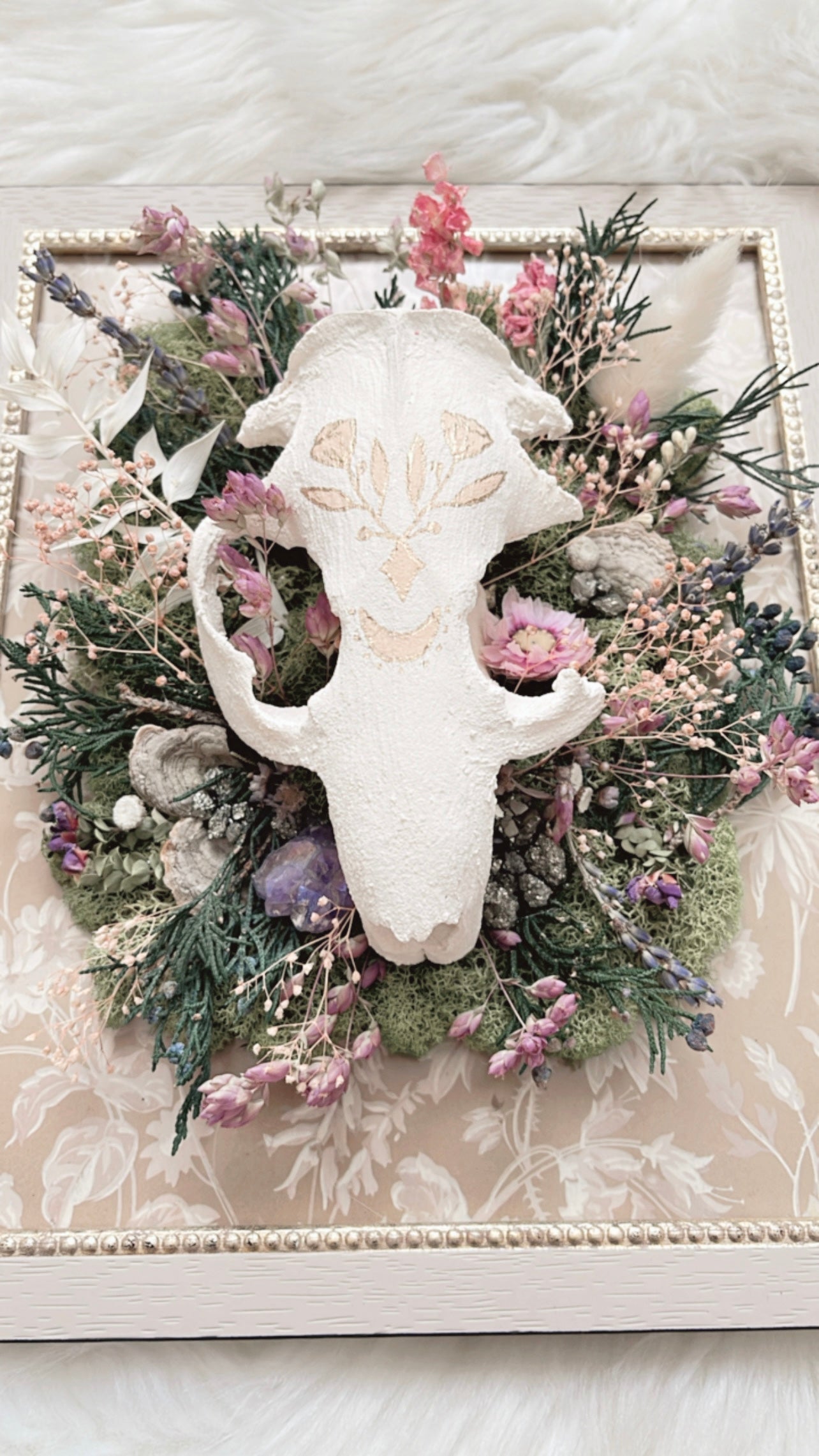 Violet Oddities Frame <Beaver Skull>