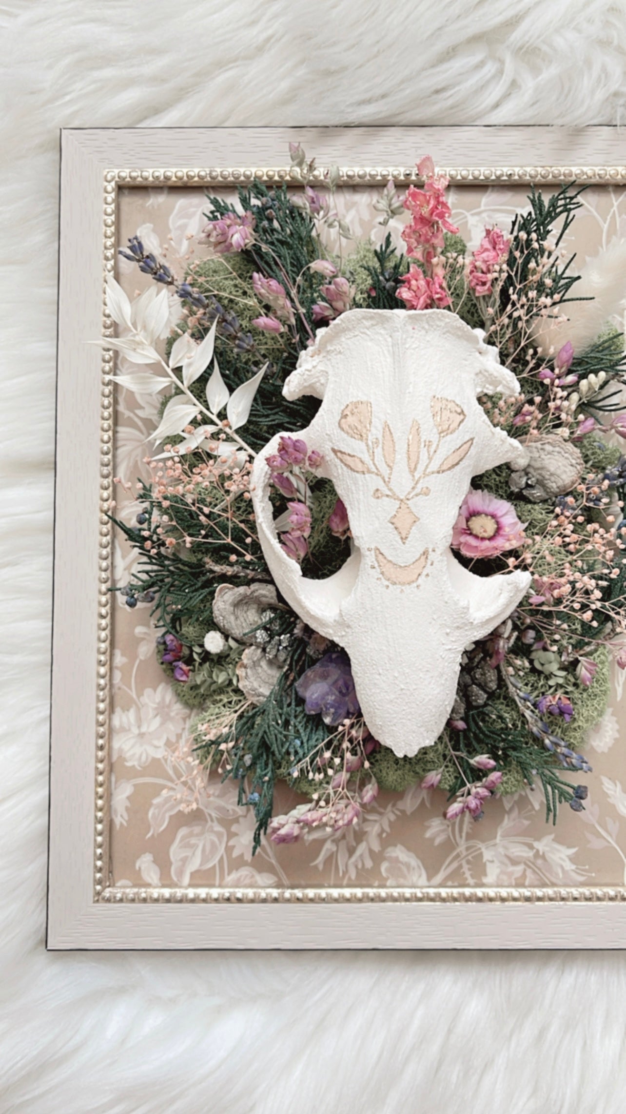 Violet Oddities Frame <Beaver Skull>