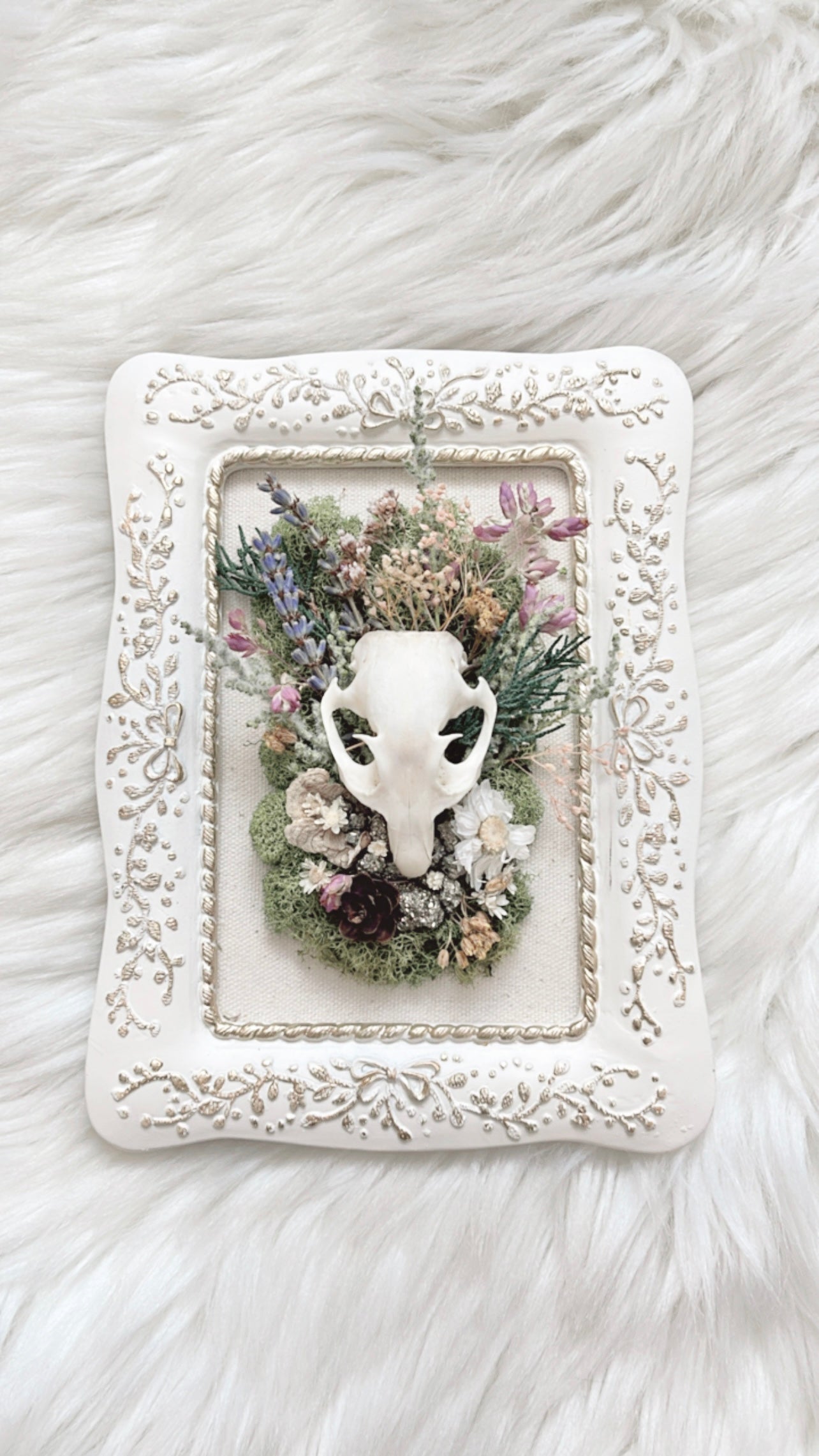Willow Oddities Frame <Squirrel Skull>
