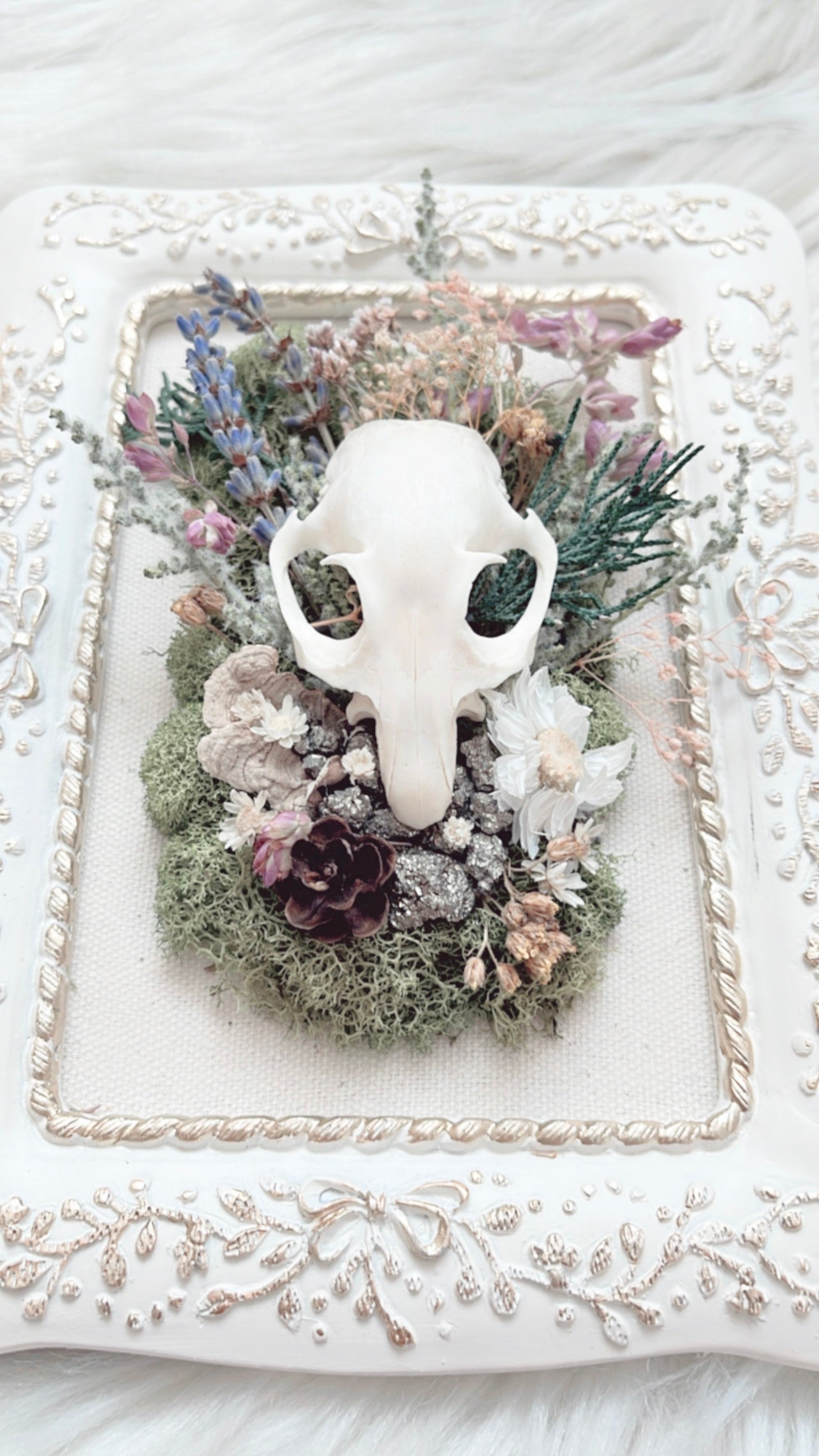Willow Oddities Frame <Squirrel Skull>