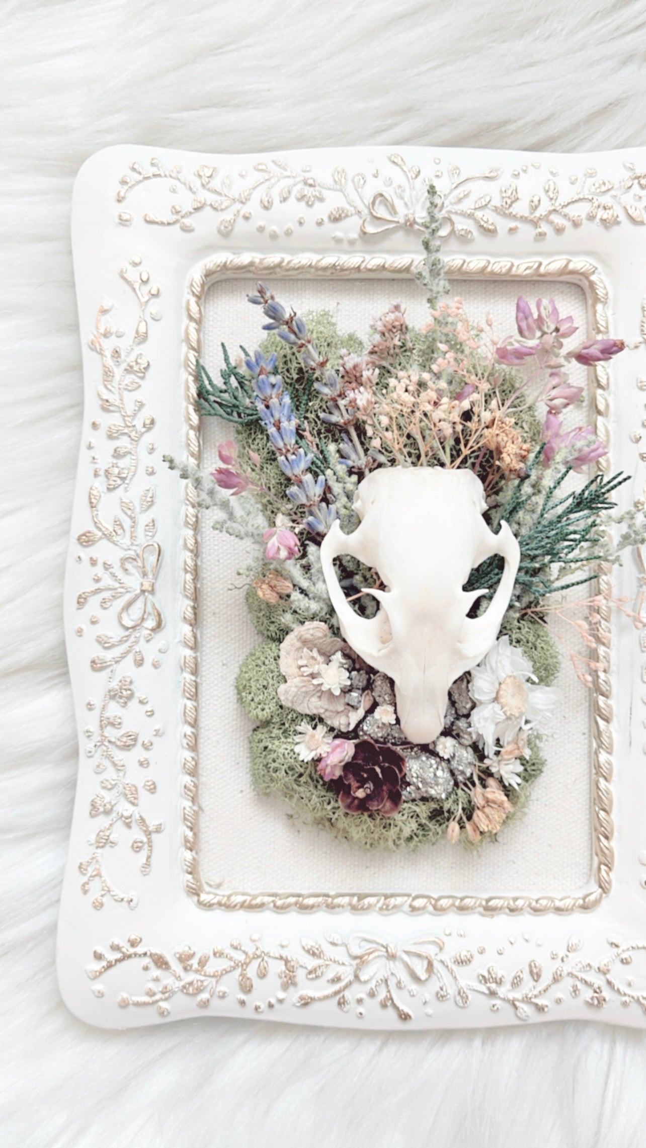 Willow Oddities Frame <Squirrel Skull>