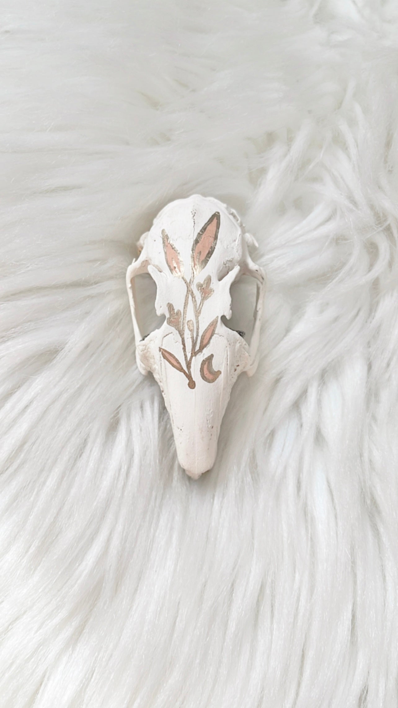 Wren Rabbit Skull
