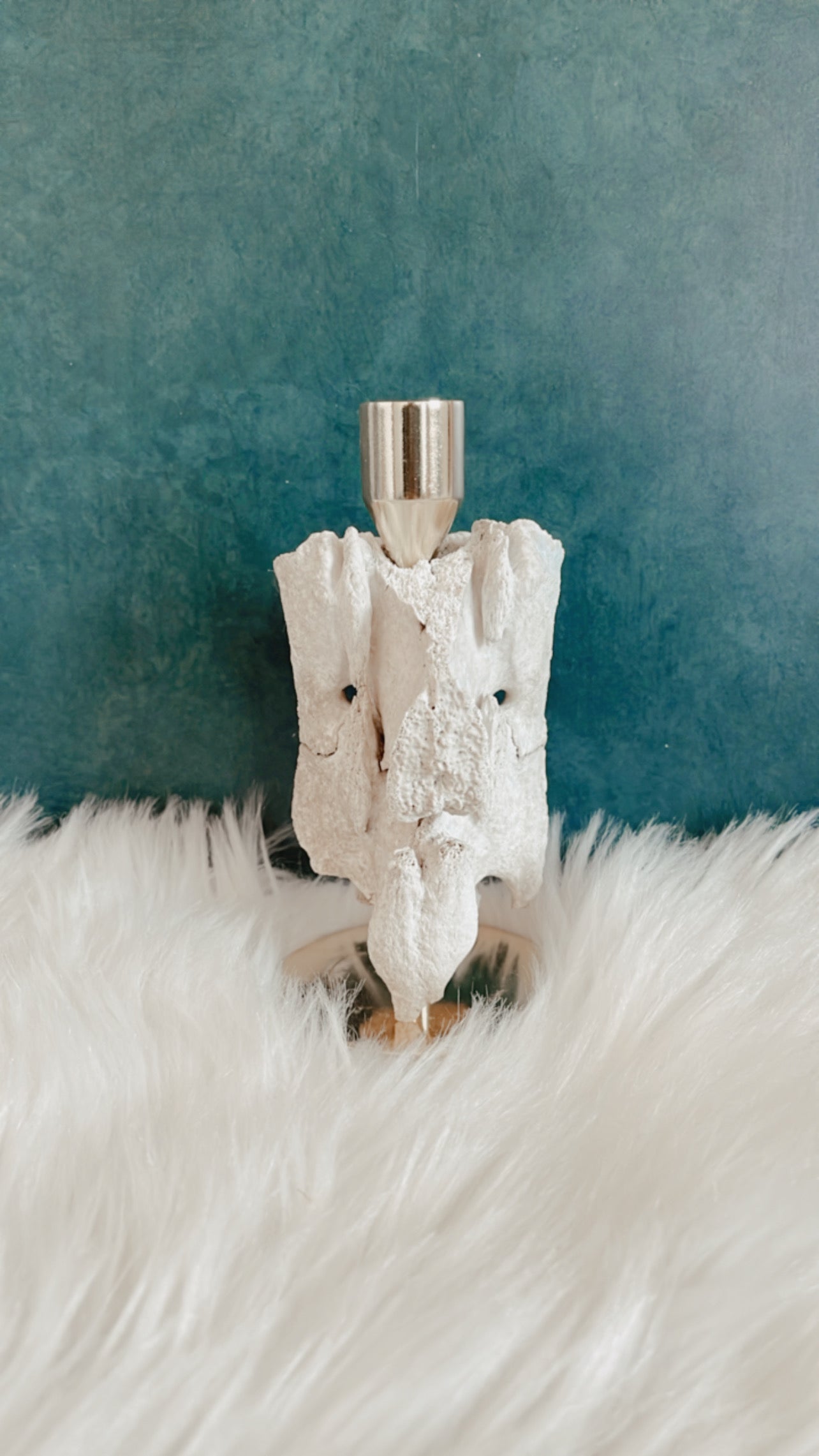 Zamira Deer Vertebrae Candlestick Holder